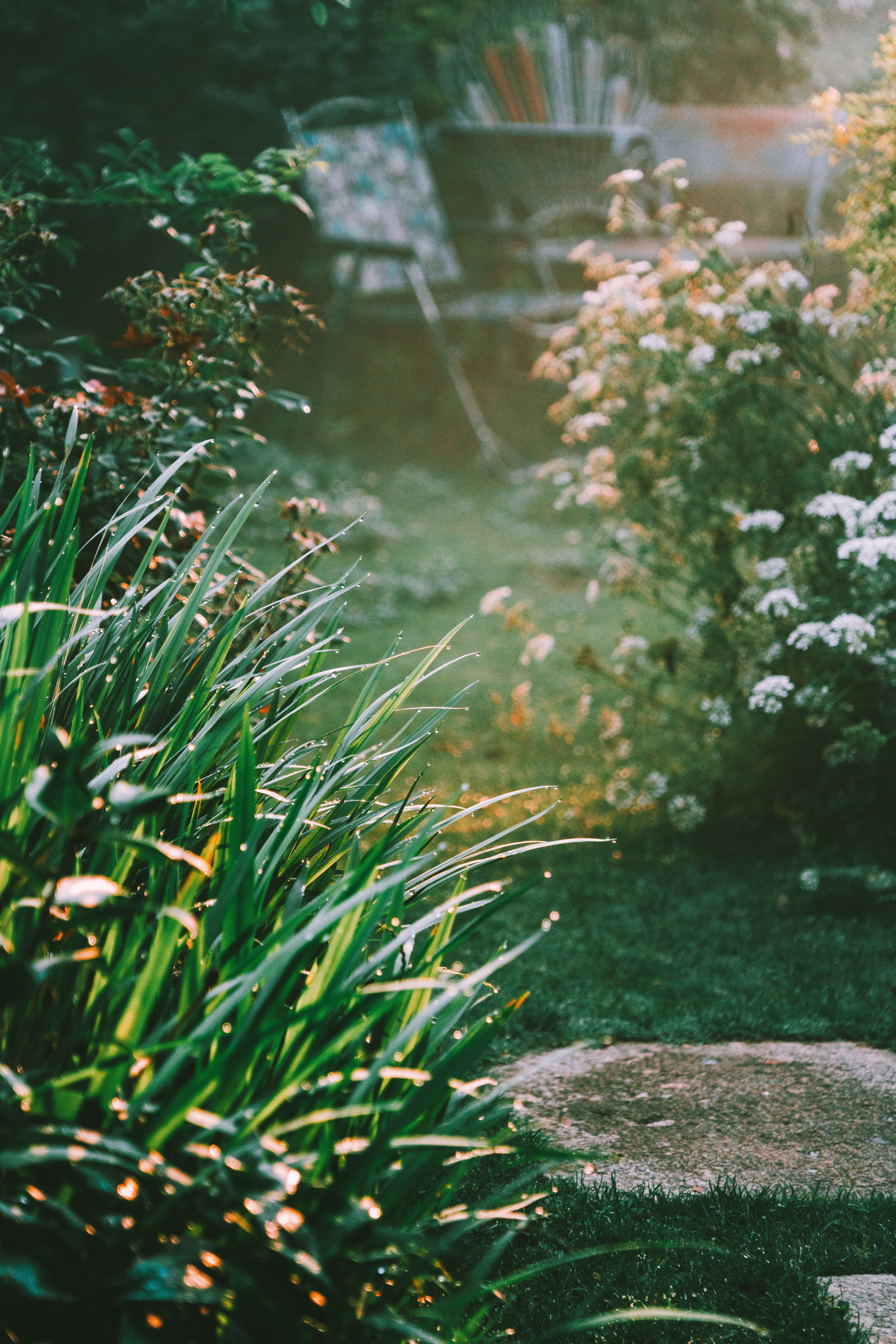 How to Create an Elegant Home Without Spending a Fortune