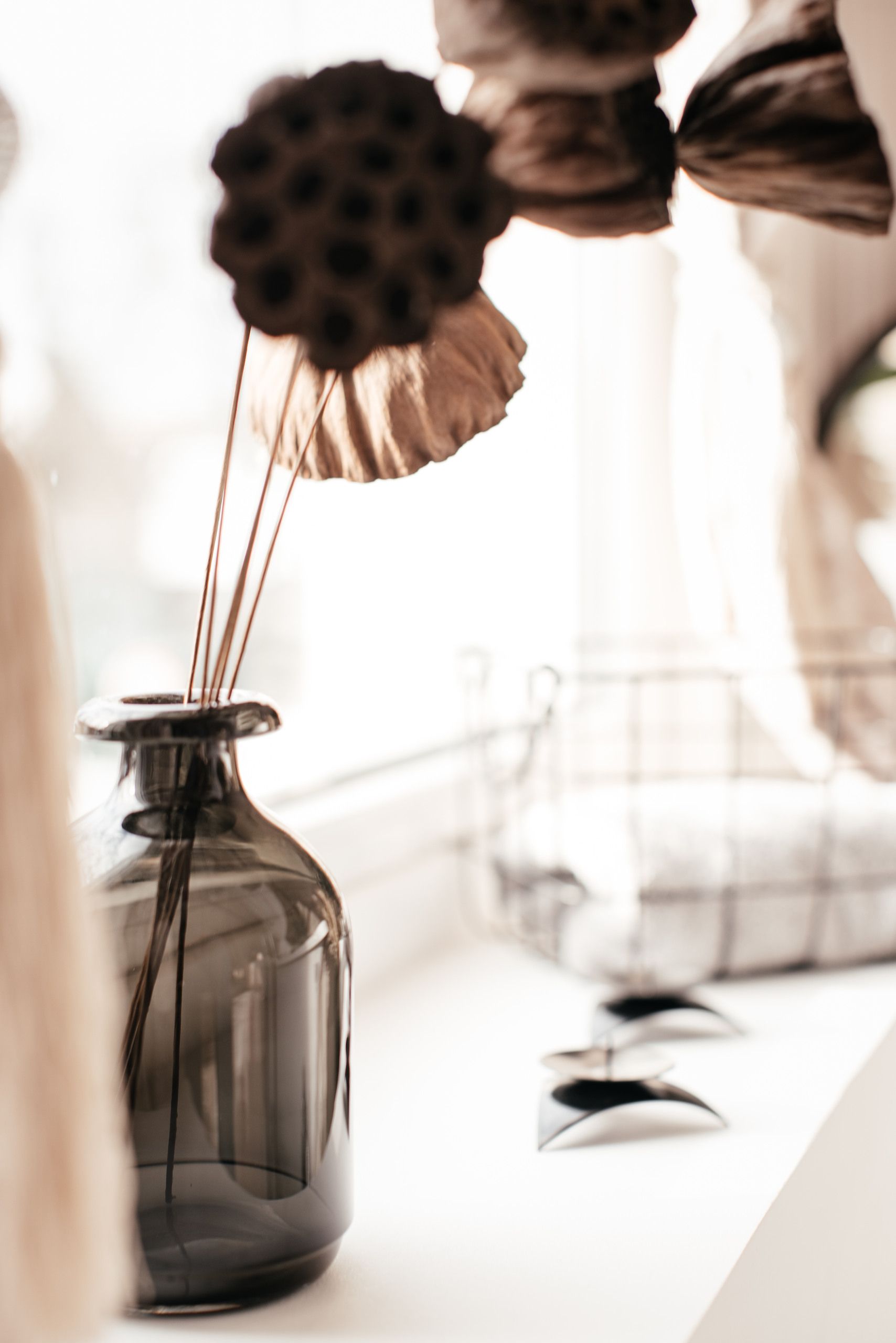 Common Plant Care Mistakes and How to Avoid Them