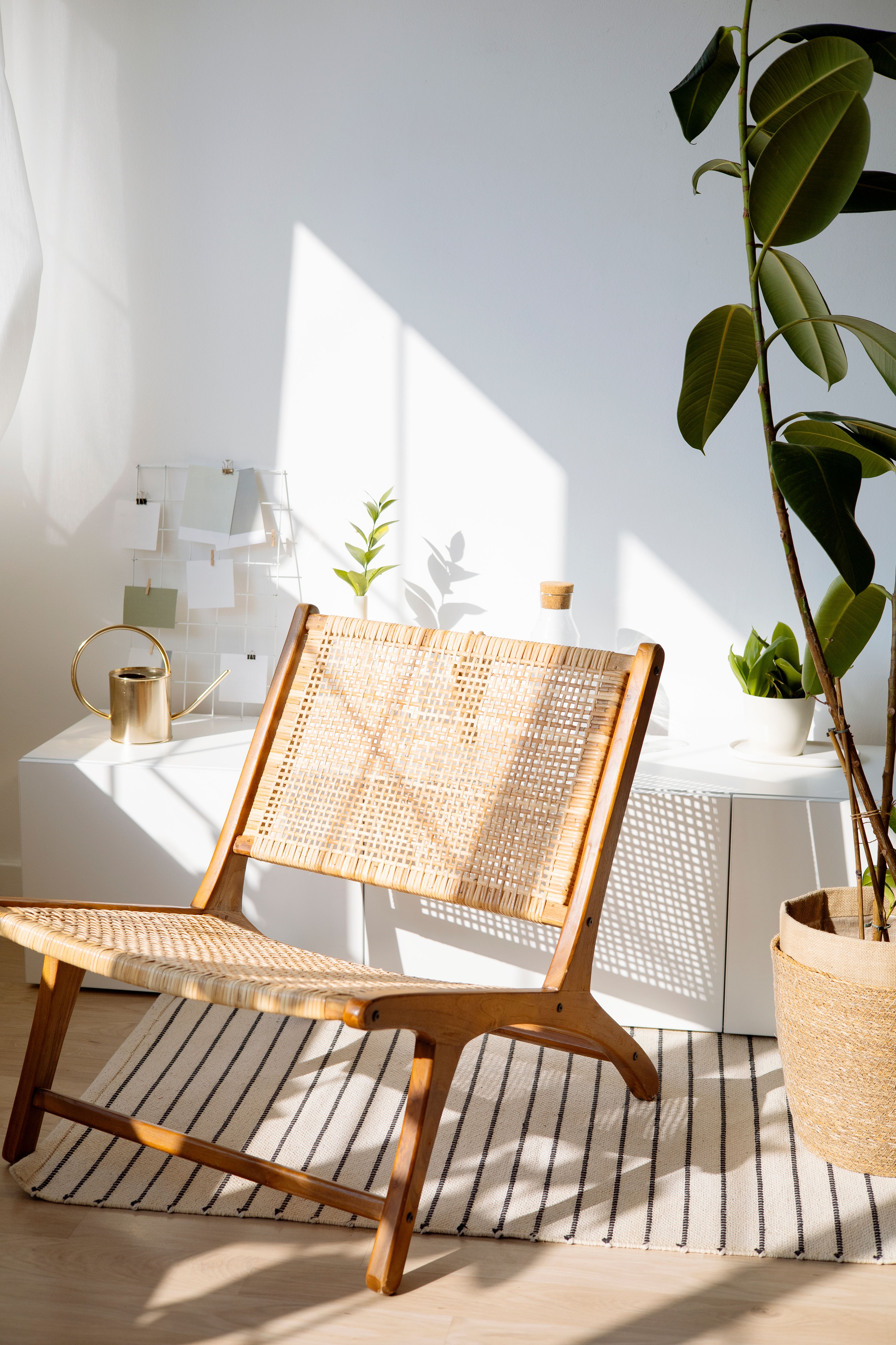 How to Create a Beautiful Garden From Scratch