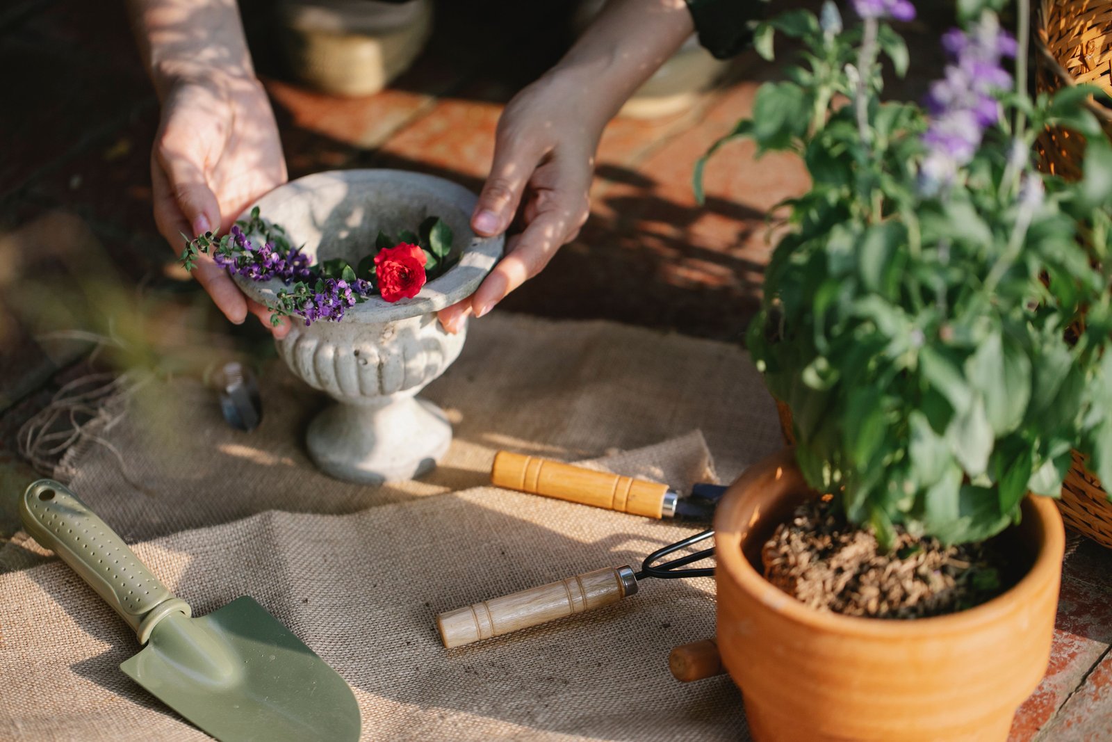 How to Create a Home Vegetable Garden From Scratch - supporting image 2