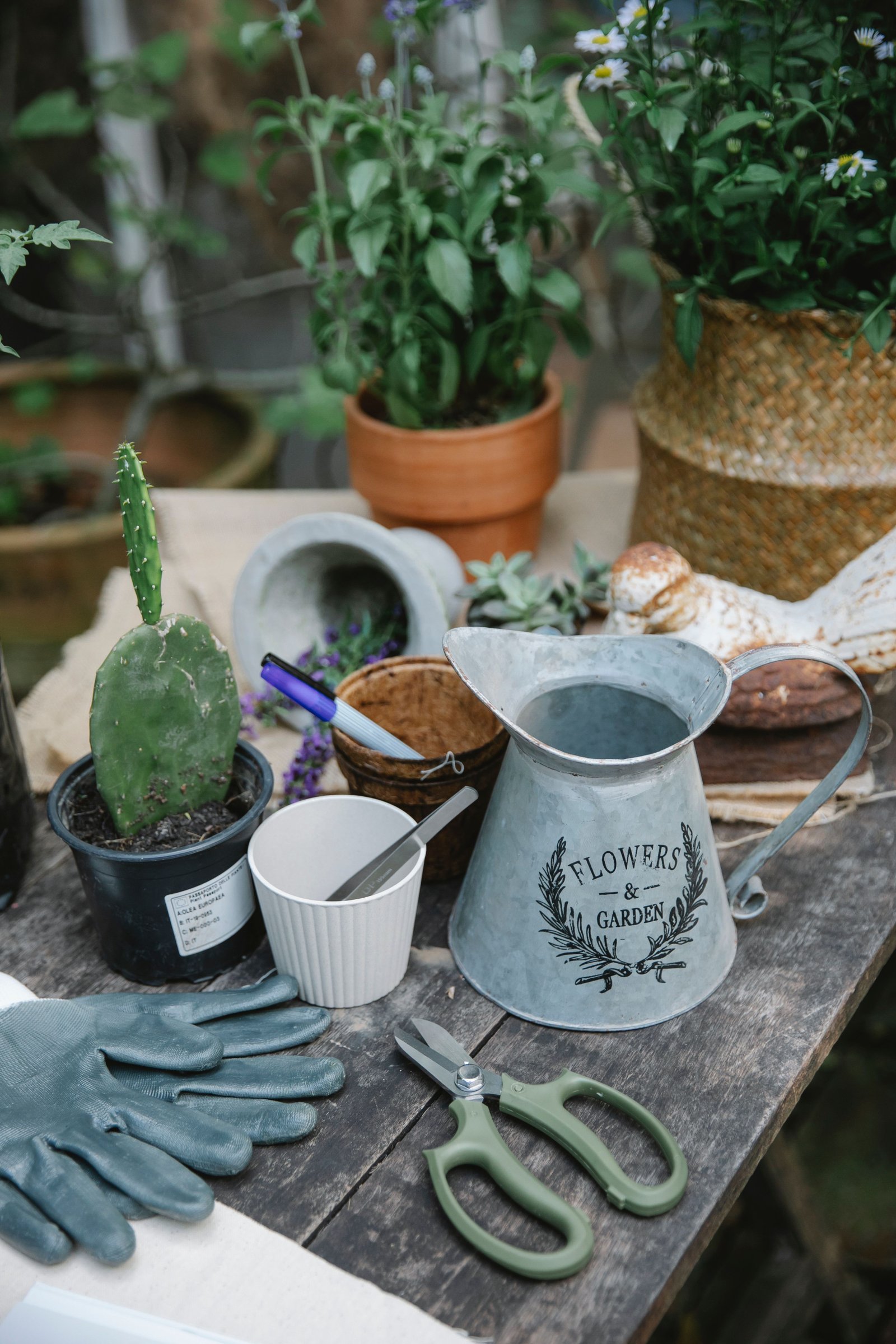 How to Create a Home Vegetable Garden From Scratch - supporting image 3