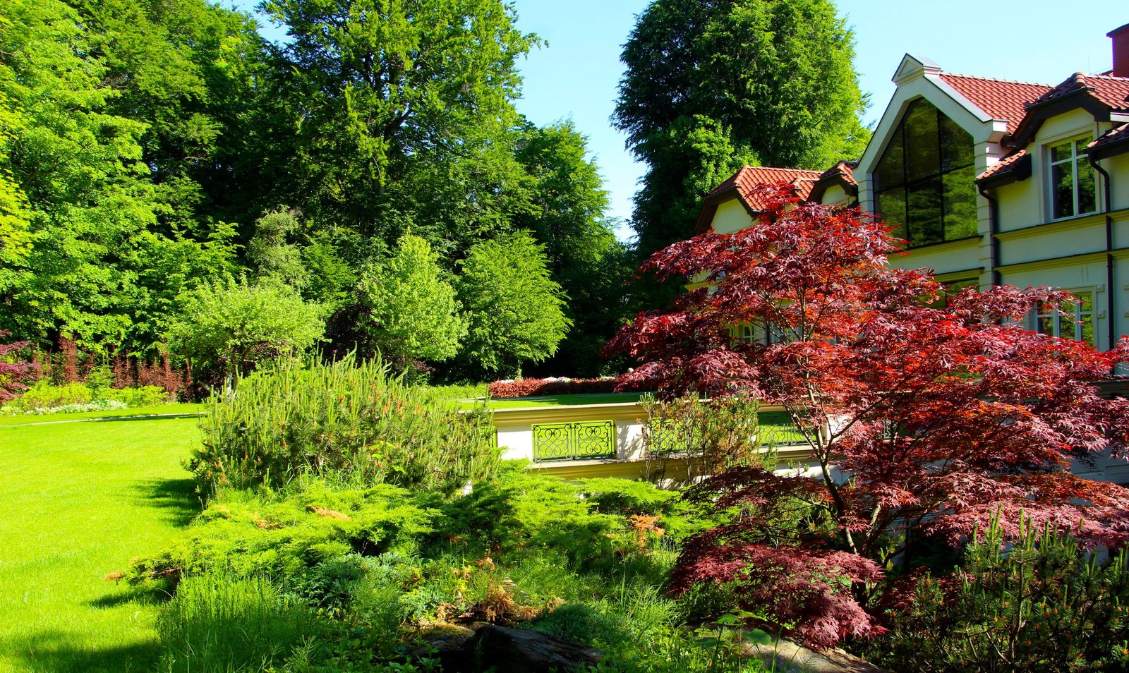 How to Create a Bee- and Butterfly-Friendly Garden - supporting image 2