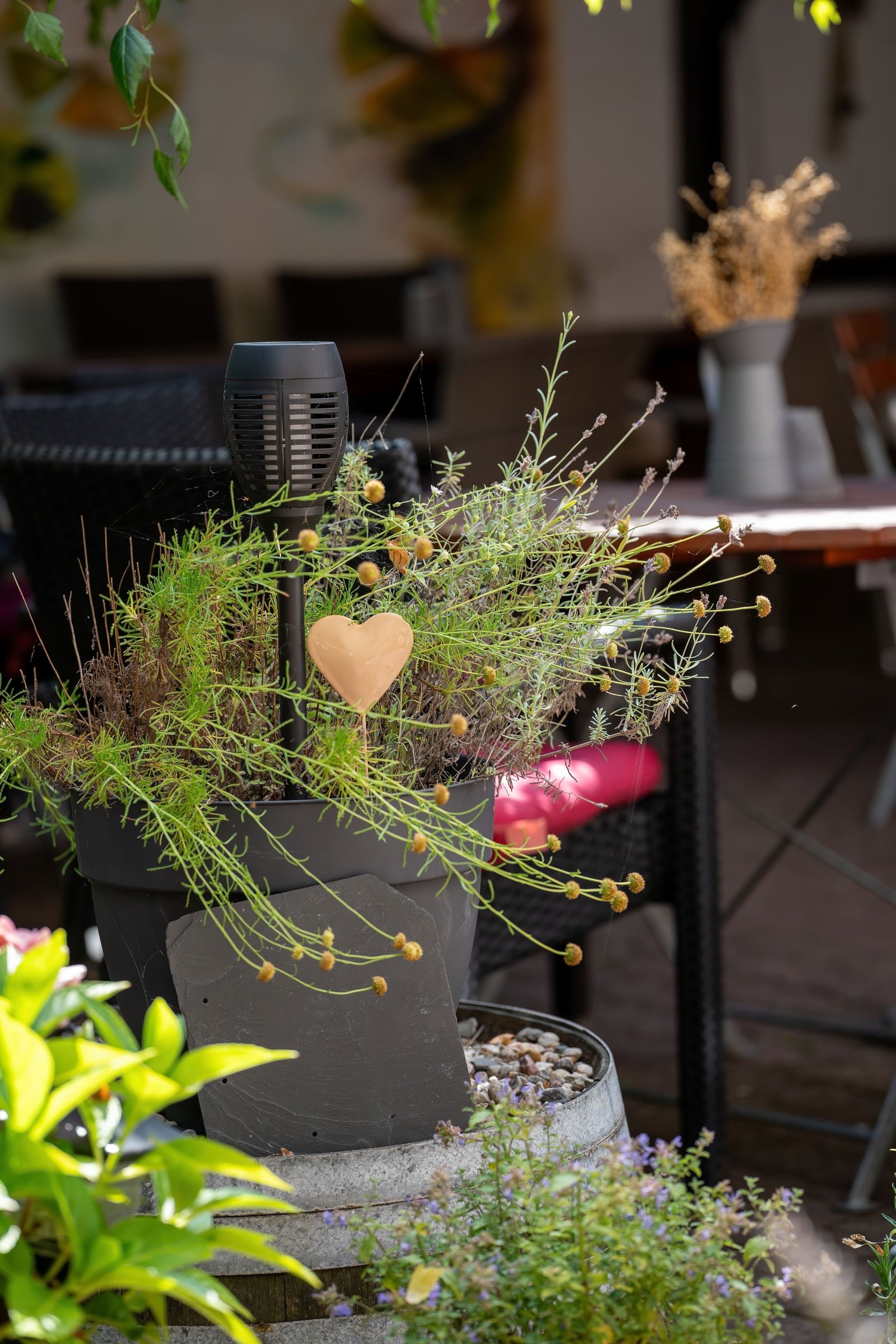 How to Create a Beautiful Garden From Scratch - supporting image 1