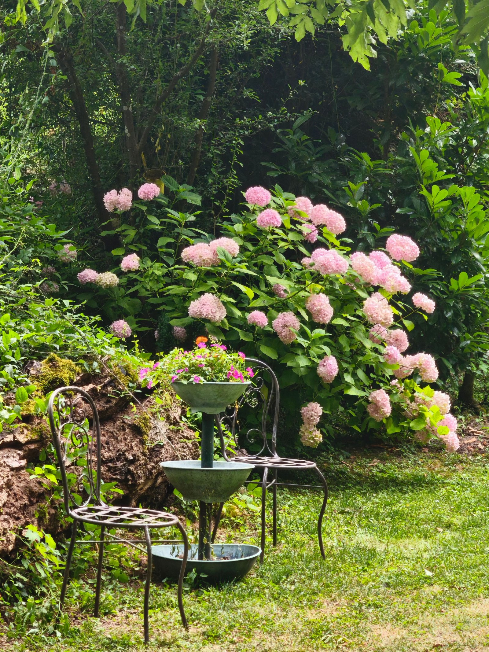 How to Create a Low-Maintenance Garden - supporting image 2