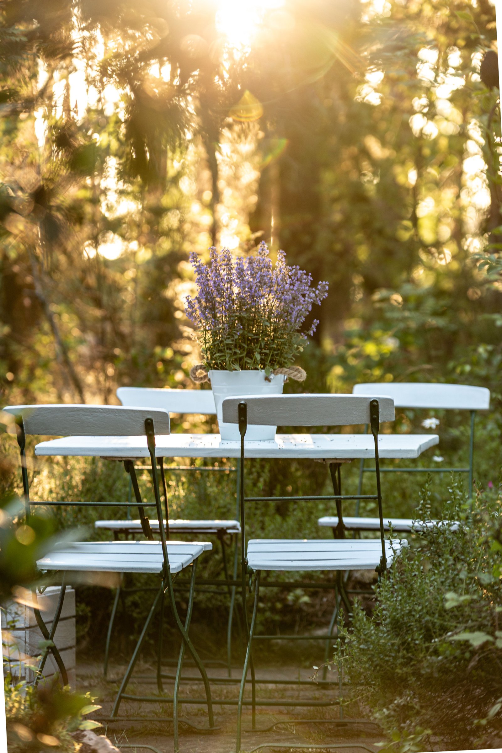 How to Create a Night Garden - Home & Garden