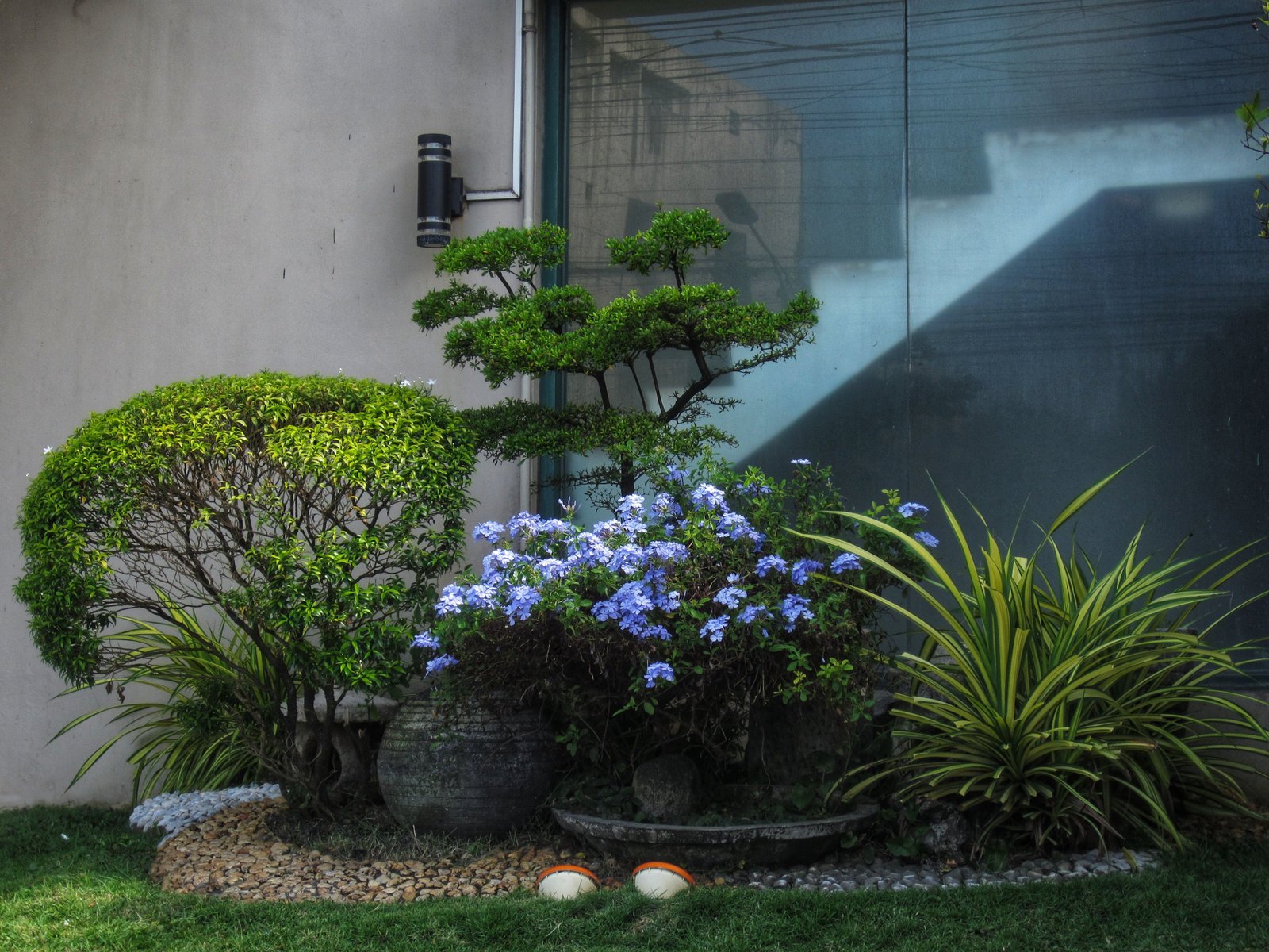 How to Create a Vertical Garden at Home and Make Better Use of Your Walls - Home & Garden