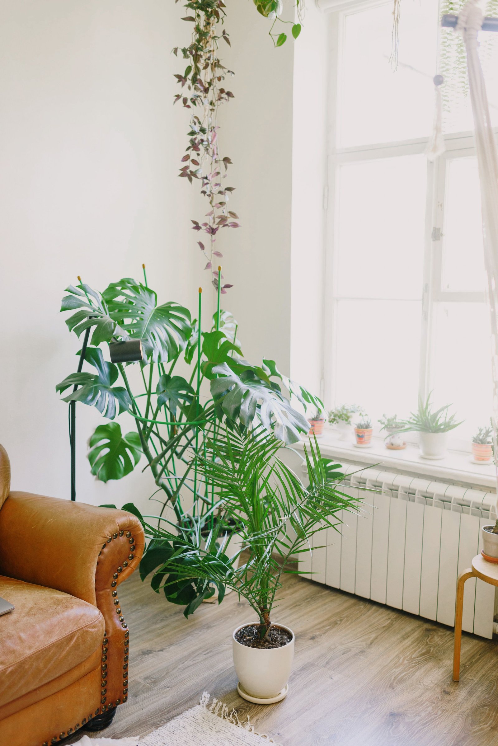 How to Create a Functional and Organized Entryway - supporting image 1