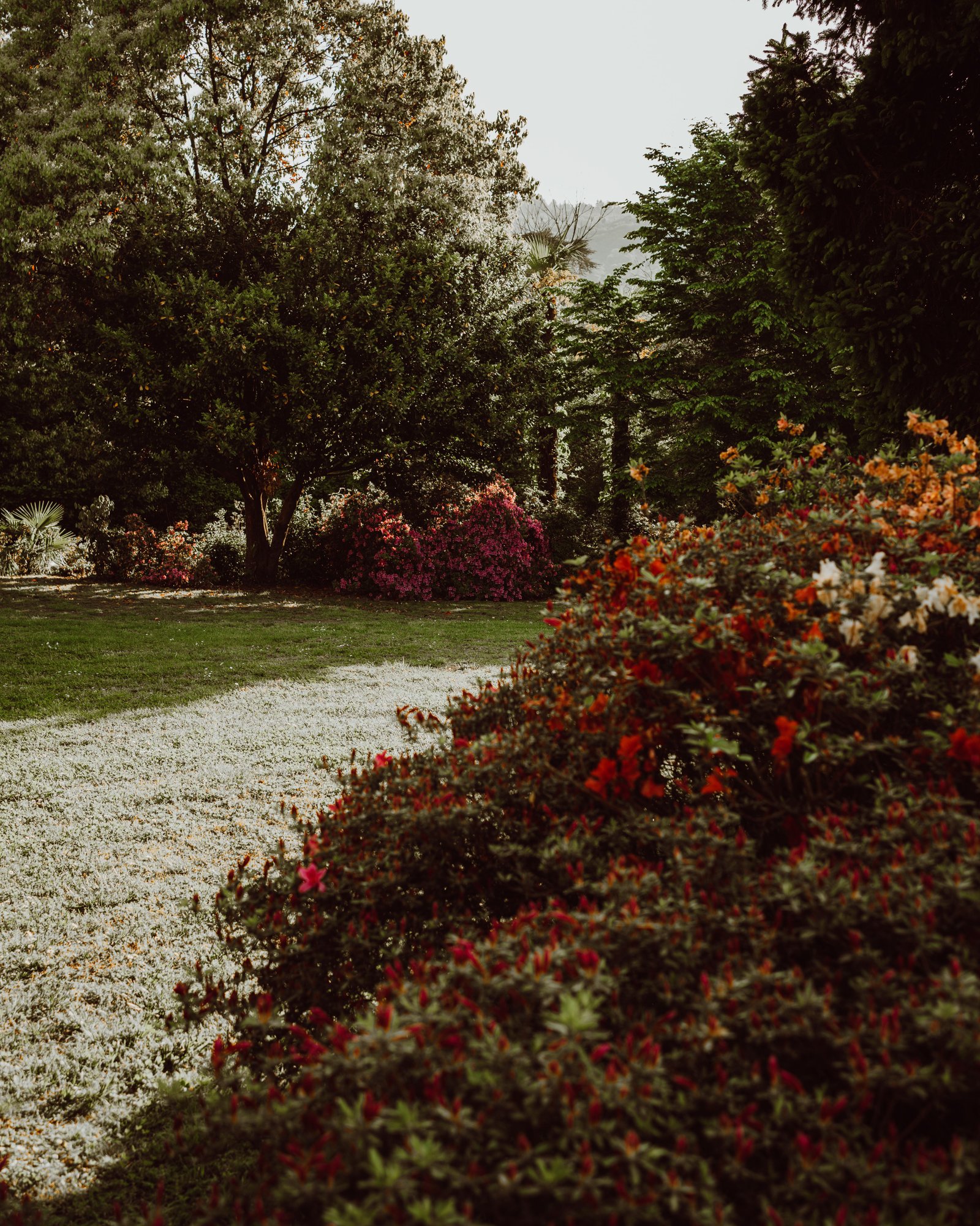 How to Care for Plants During Winter - Home & Garden