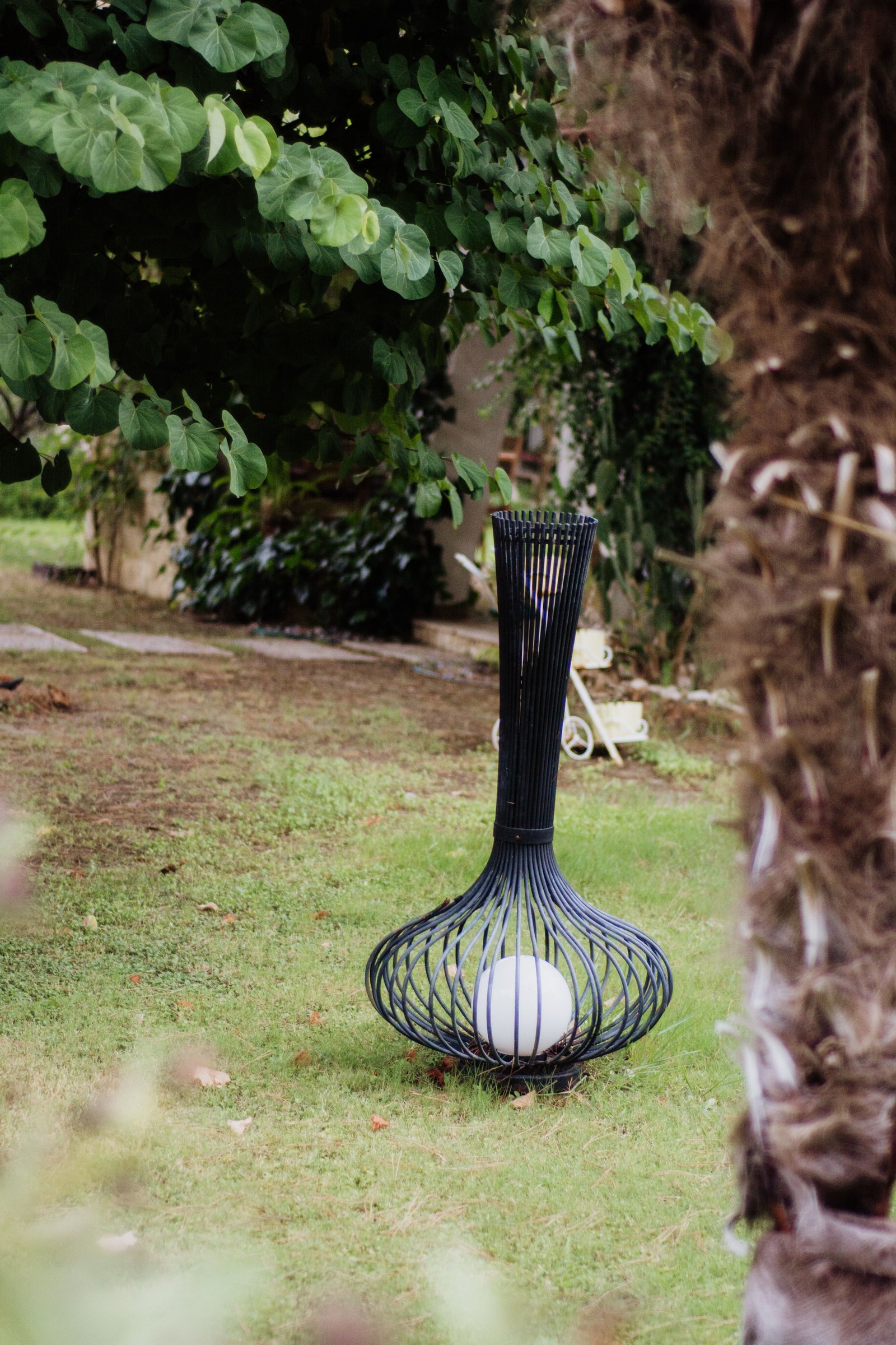 How to Care for Plants During Summer - Home & Garden