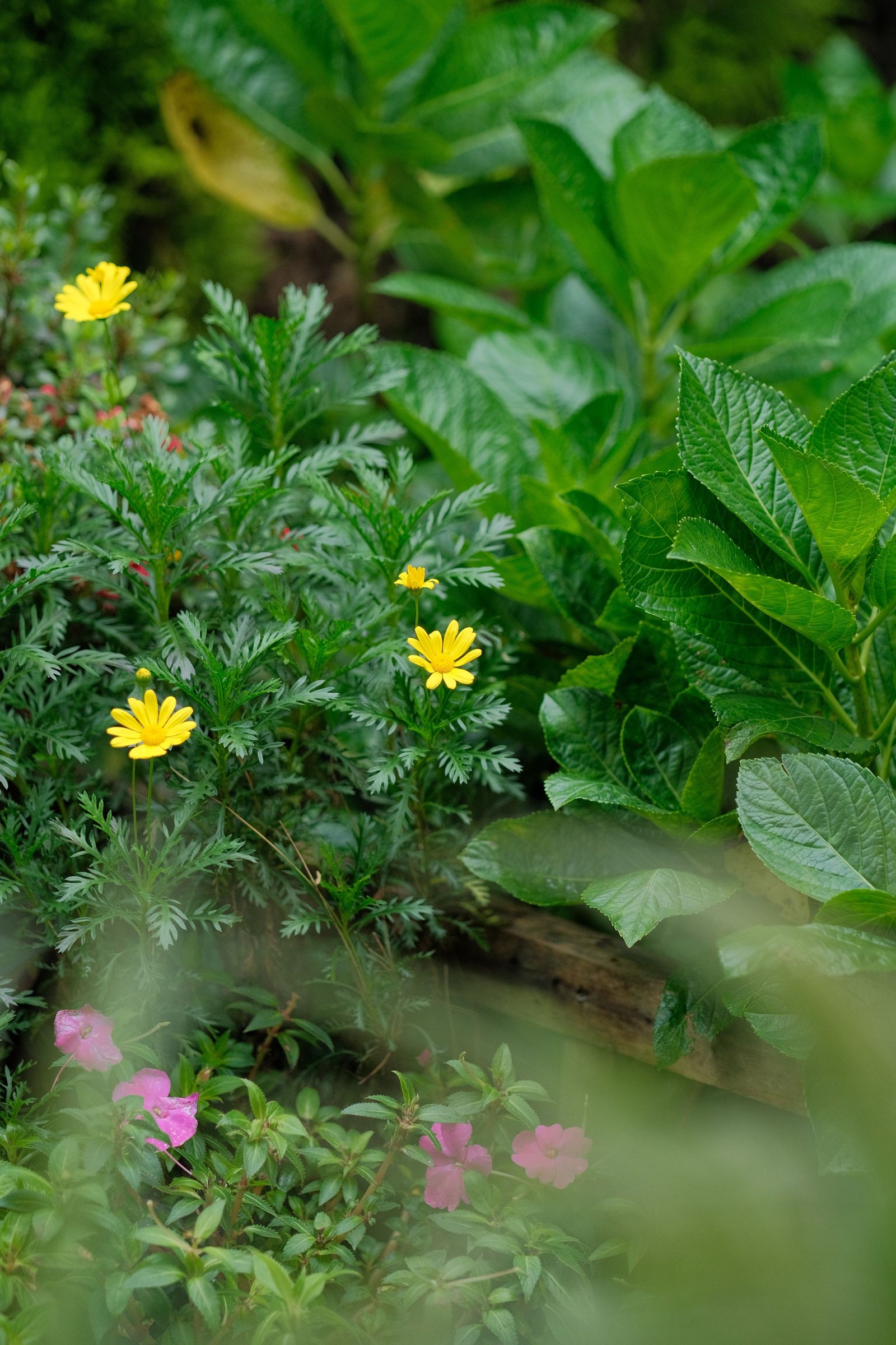 How to Care for Natural Stone Surfaces - Home & Garden