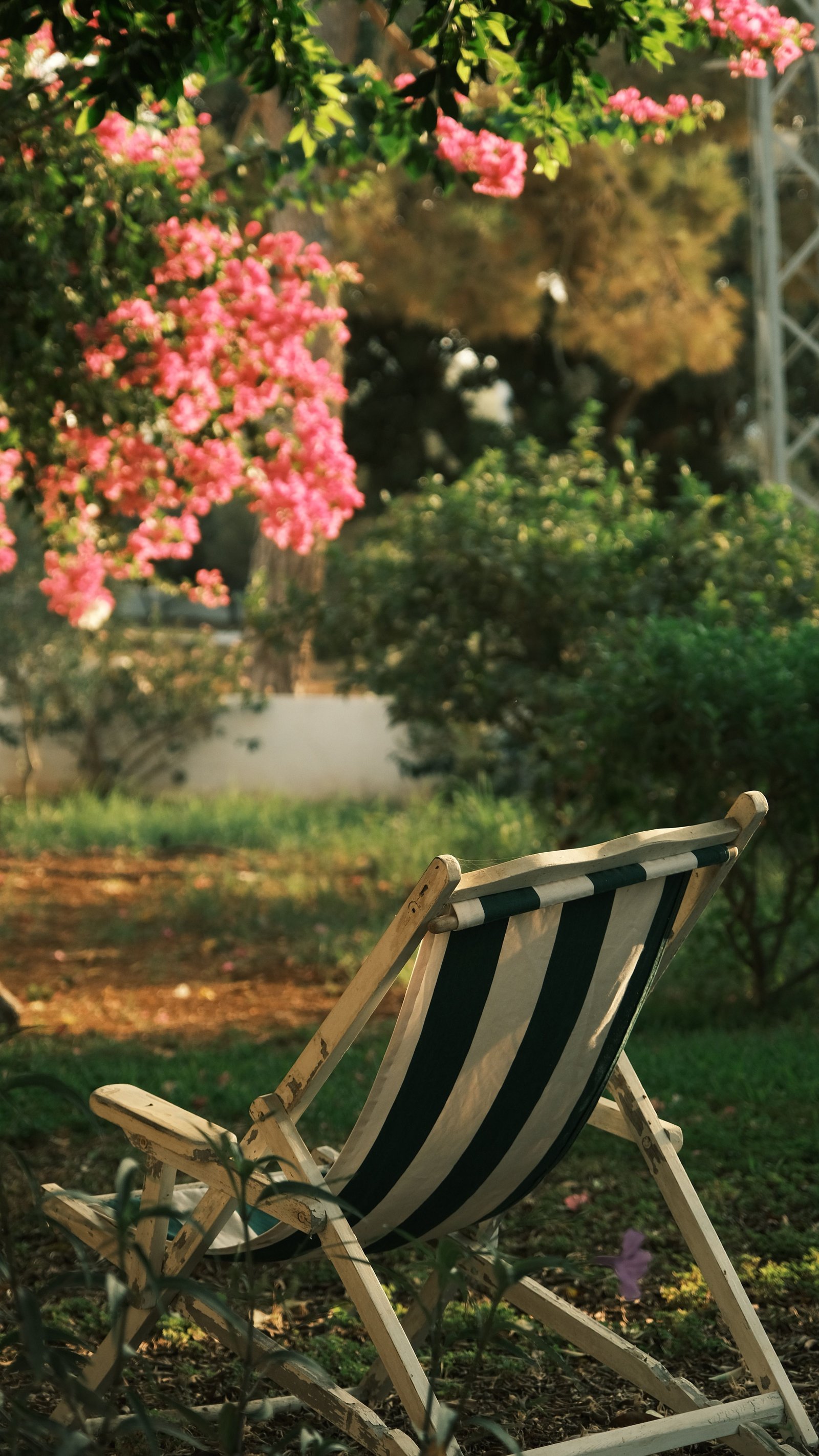 How to Decorate a Small Balcony and Make the Most of Every Inch - supporting image 3