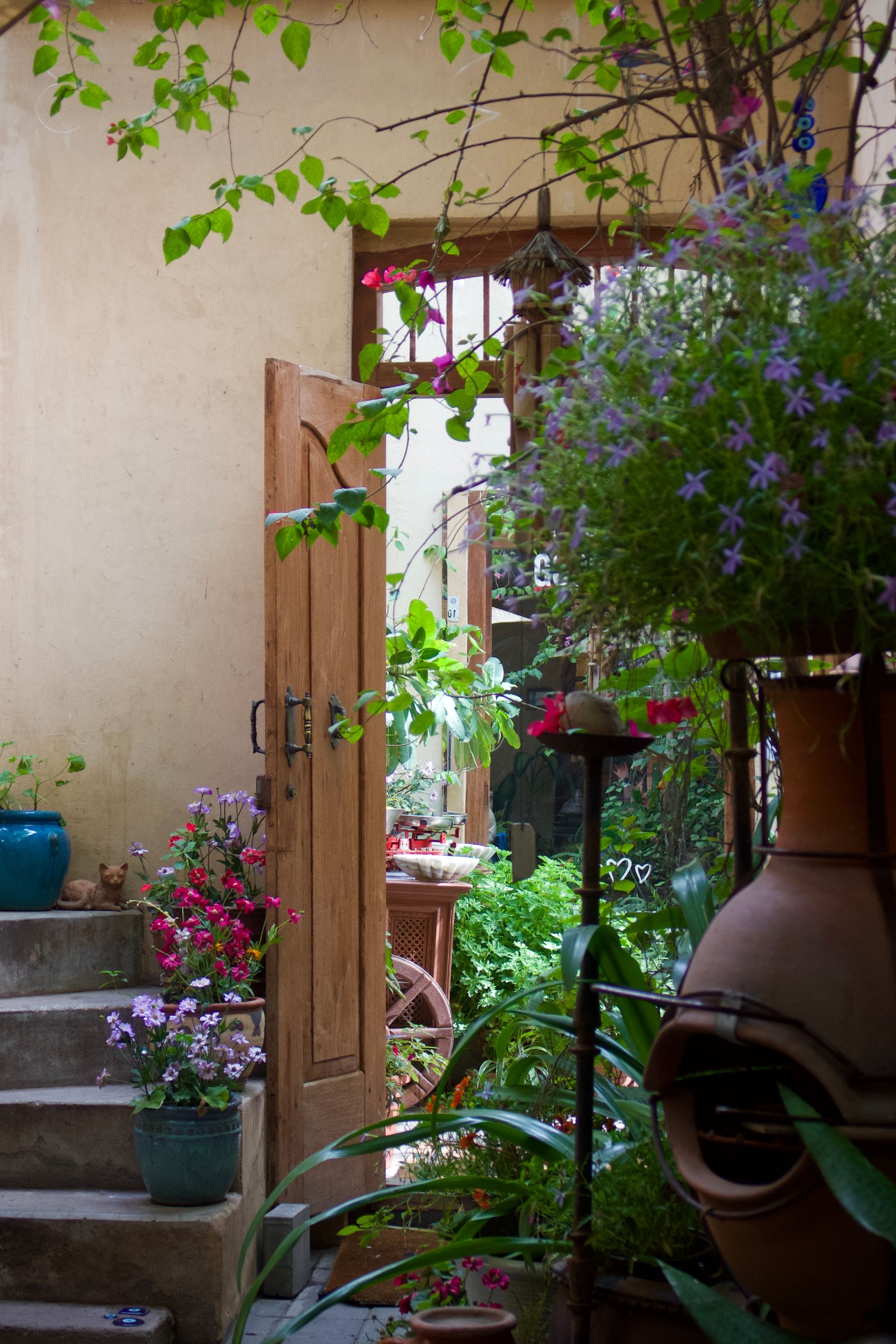 How to Design a Garden With Different Heights - supporting image 1
