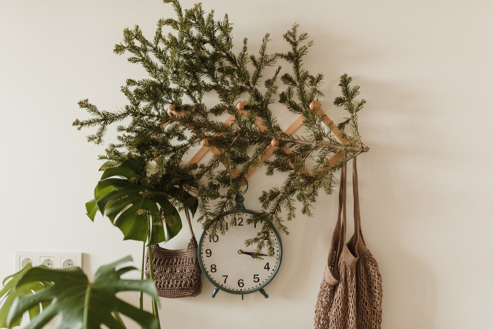 How to Choose the Right Pots for Each Type of Plant - supporting image 1