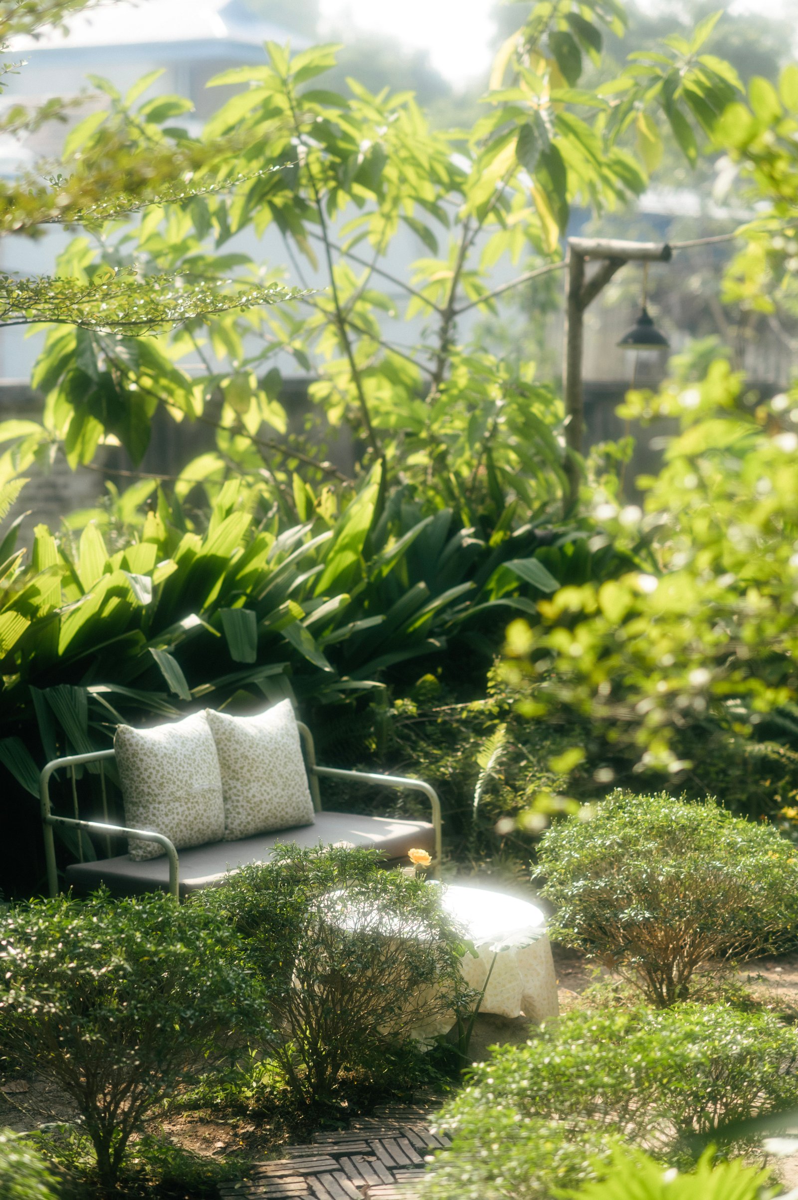 How to Choose Suitable Plants for Terraces - supporting image 3