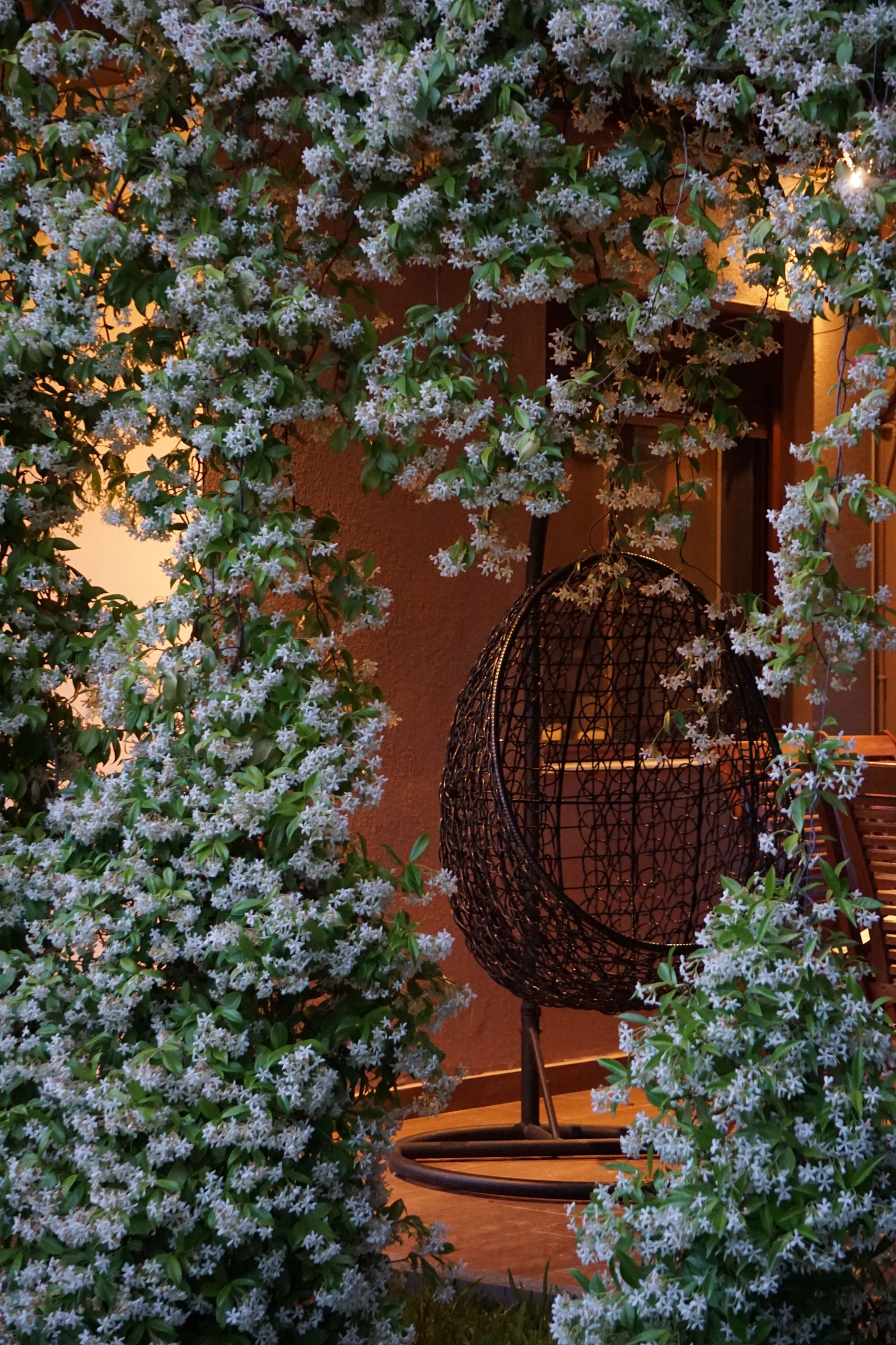 How to Choose the Right Potting Mix for Container Plants - supporting image 2