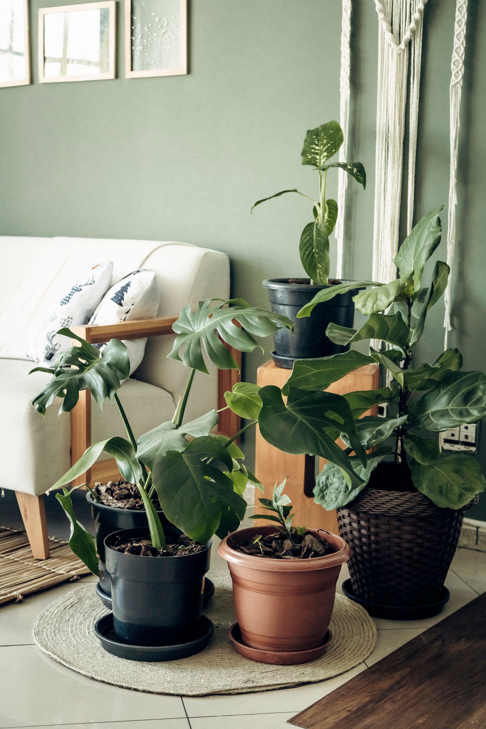 How to Reduce Noise at Home and Improve Room Comfort - supporting image 1