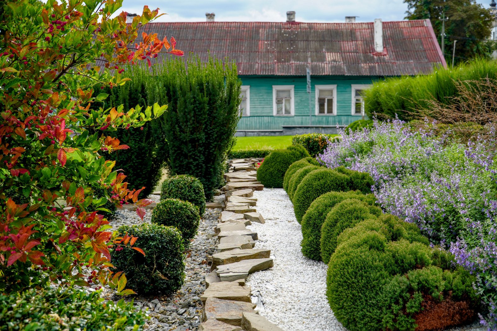 How to Integrate Plants Into Home Decor Without Overcrowding - supporting image 1