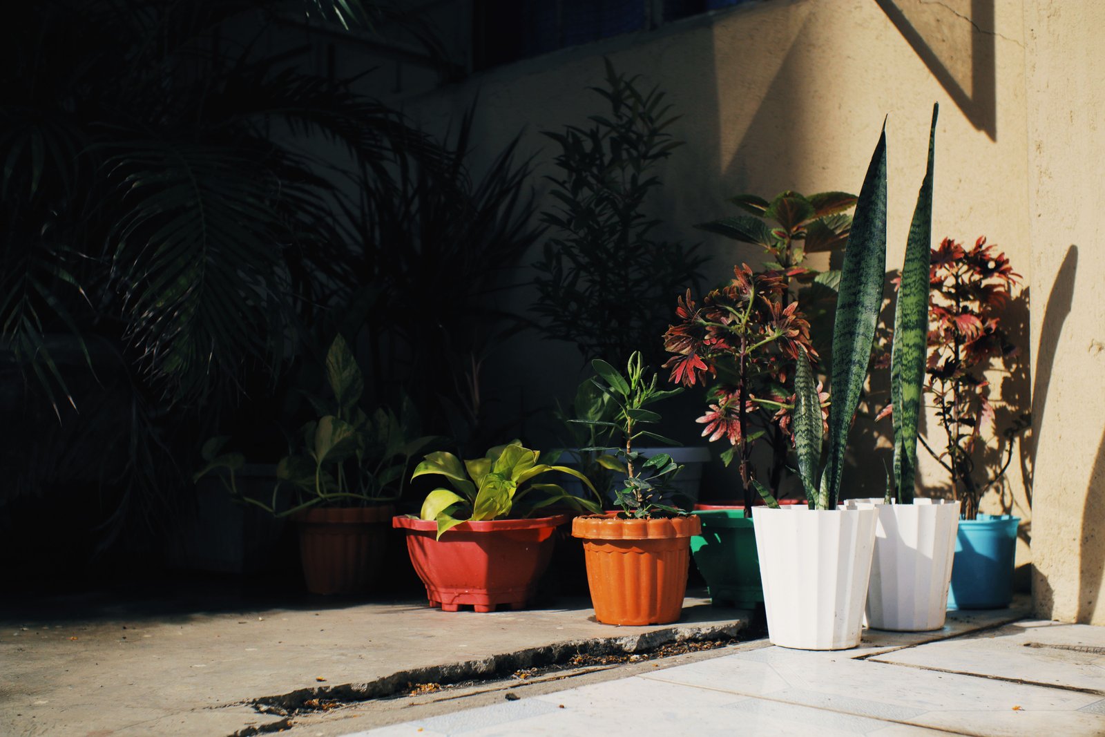 How to Integrate Plants Into Home Decor Without Overcrowding - Home & Garden