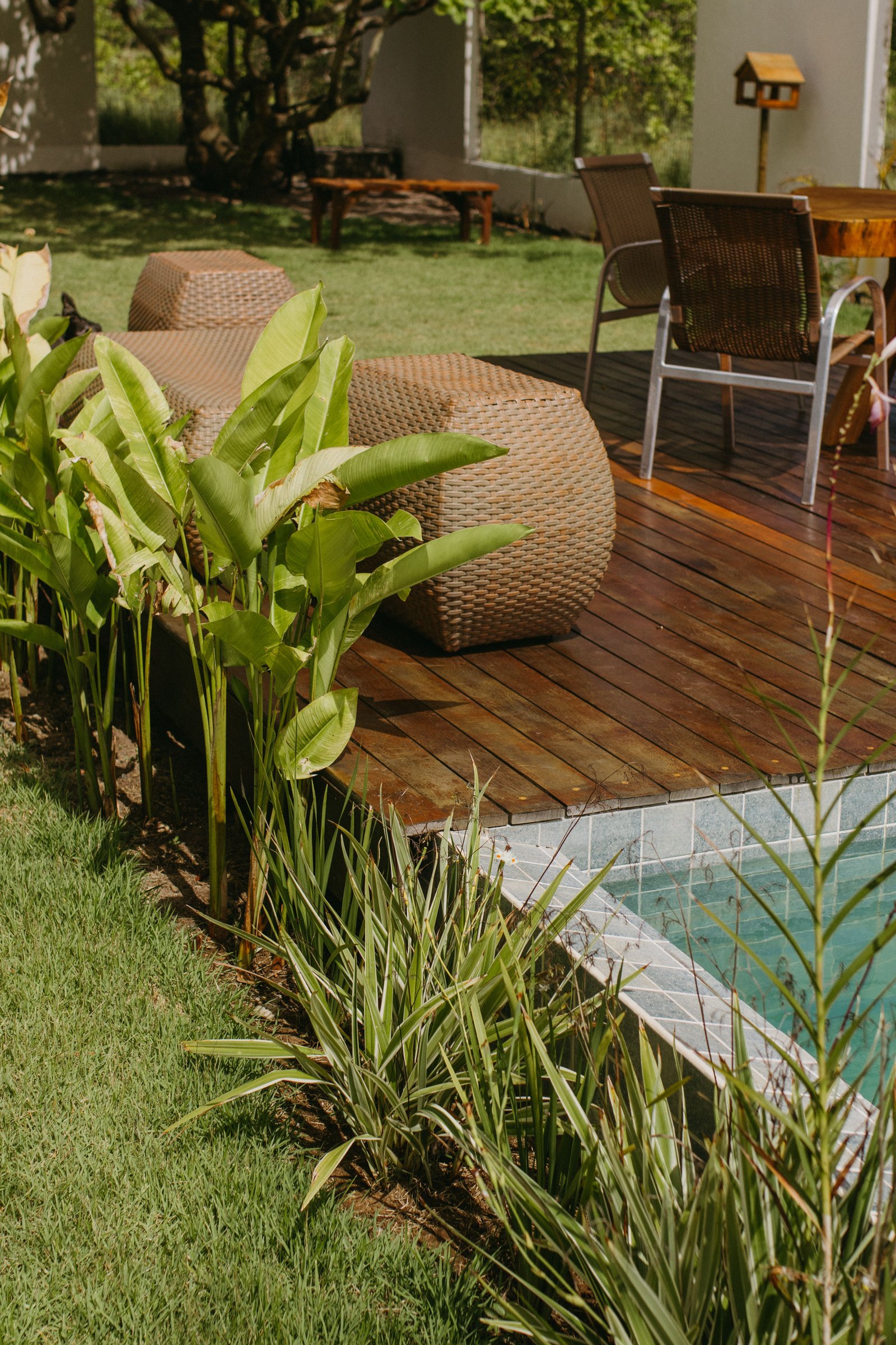 How to Clean and Maintain a Terrace and Outdoor Furniture - supporting image 3