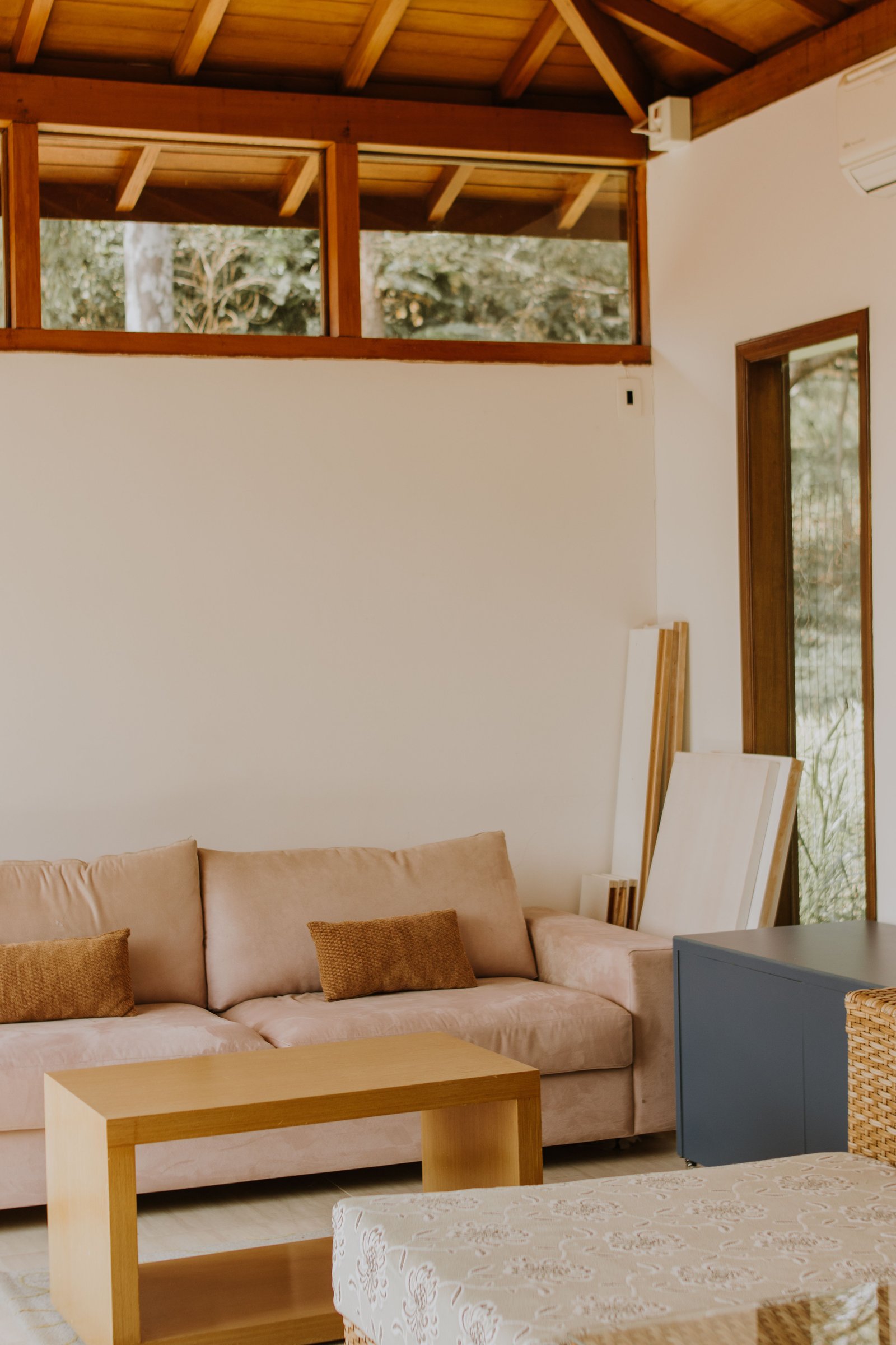 How to Clean and Care for Indoor Plants Correctly - supporting image 3
