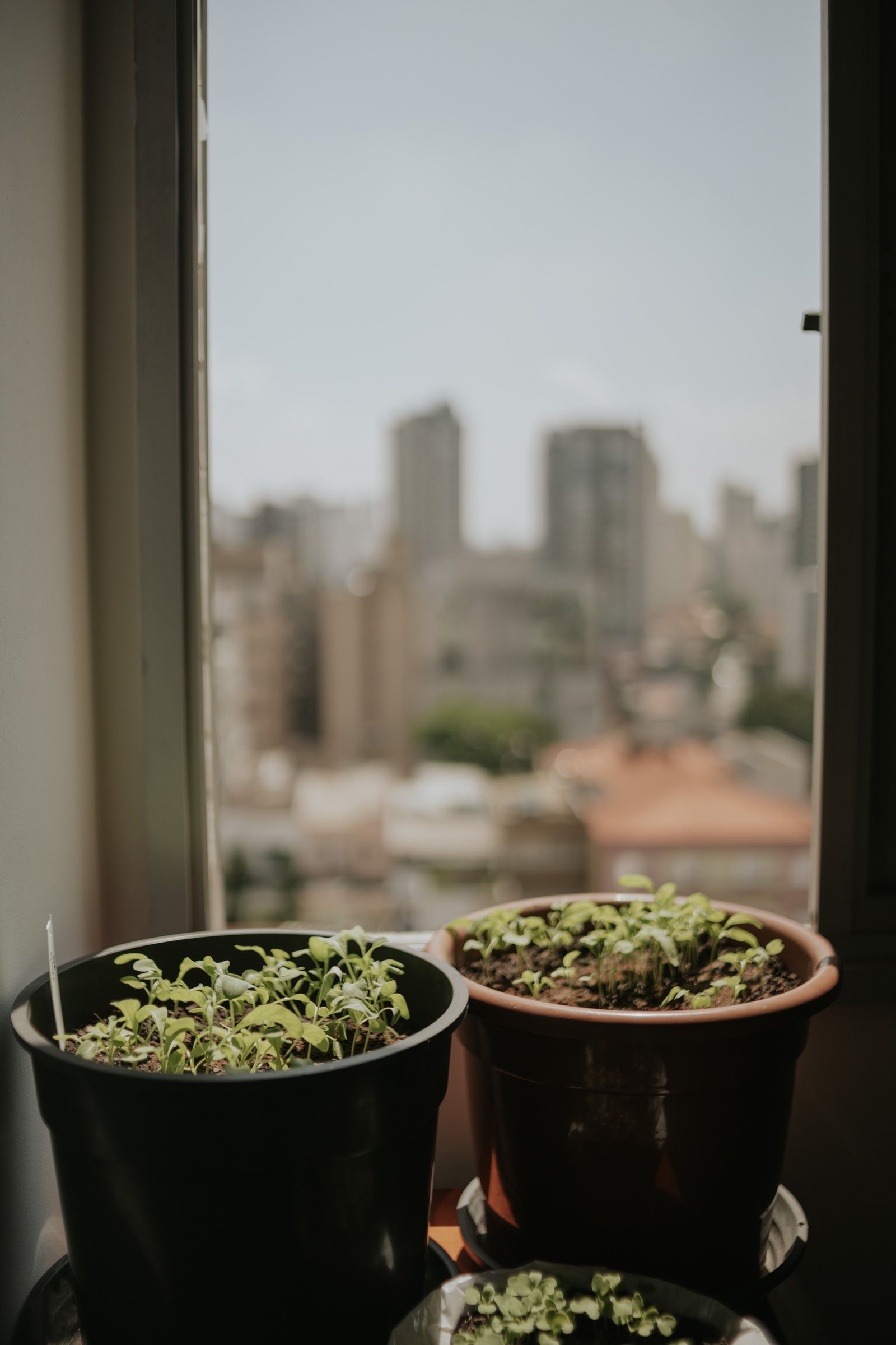 How to Improve Natural Lighting at Home - supporting image 1