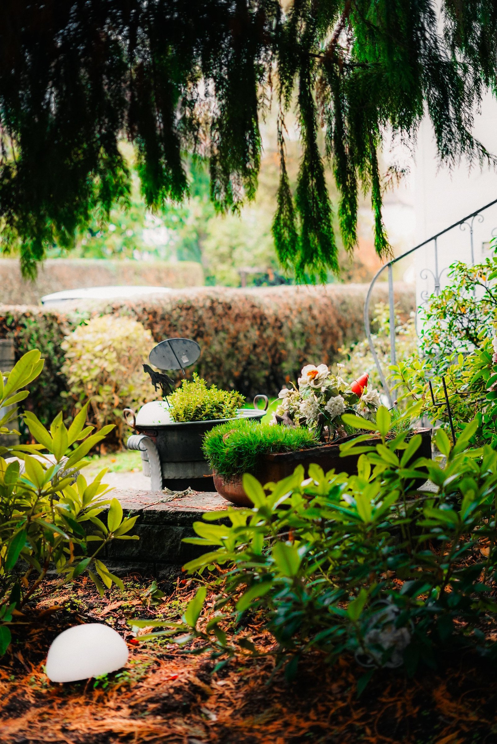How to Improve Natural Lighting at Home - Home & Garden
