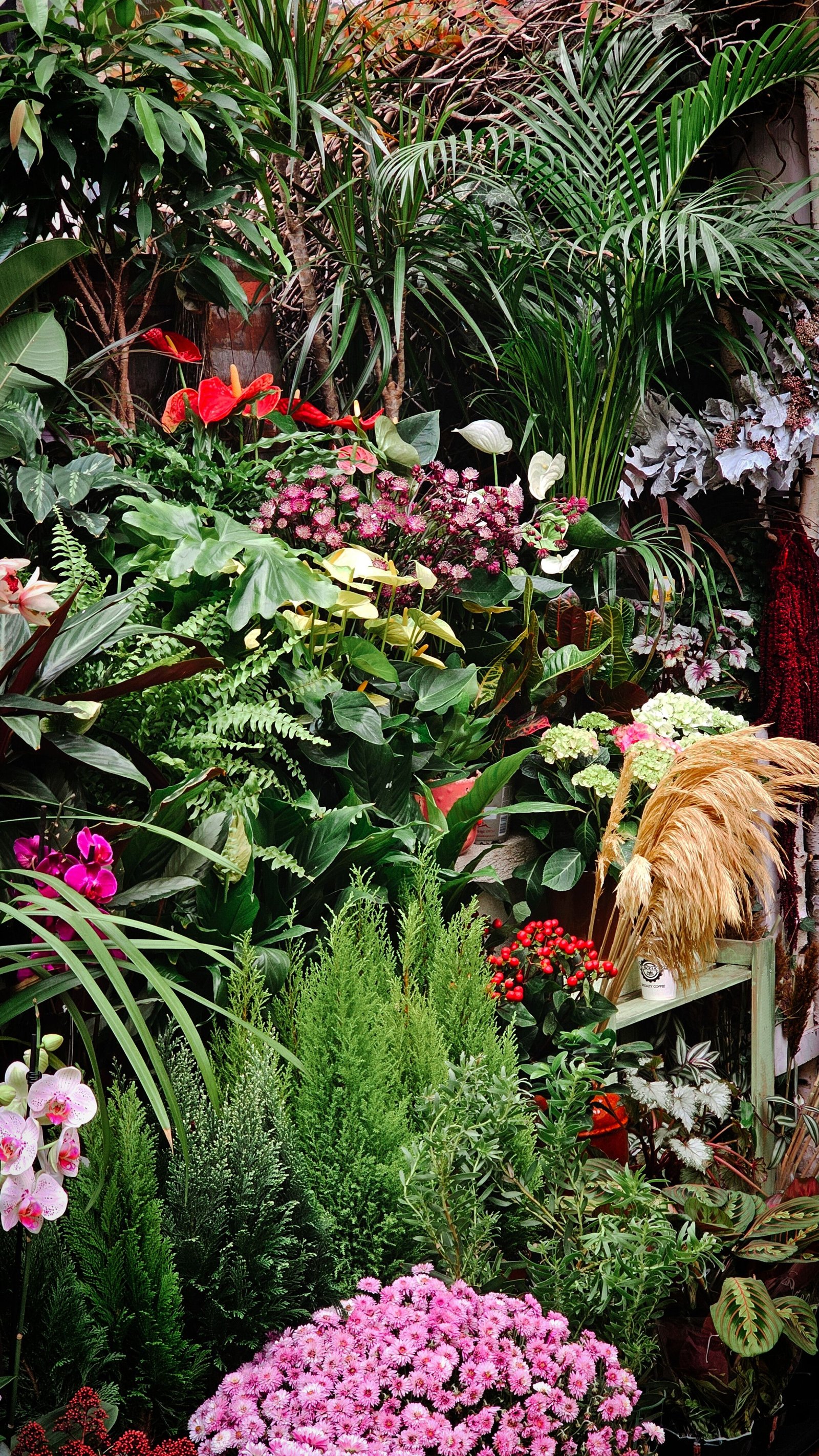 How to Improve Garden Privacy Without Losing Light or Space - supporting image 2