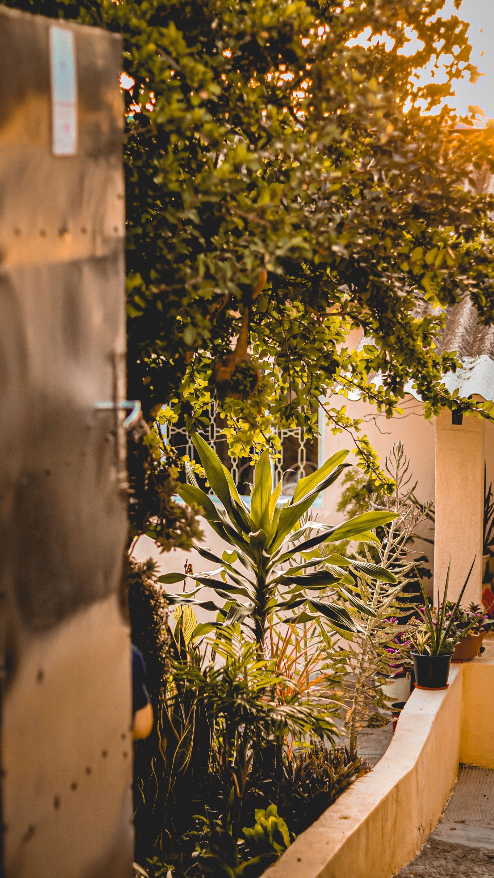 How to Organize Your Garage and Make Better Use of Space - supporting image 1