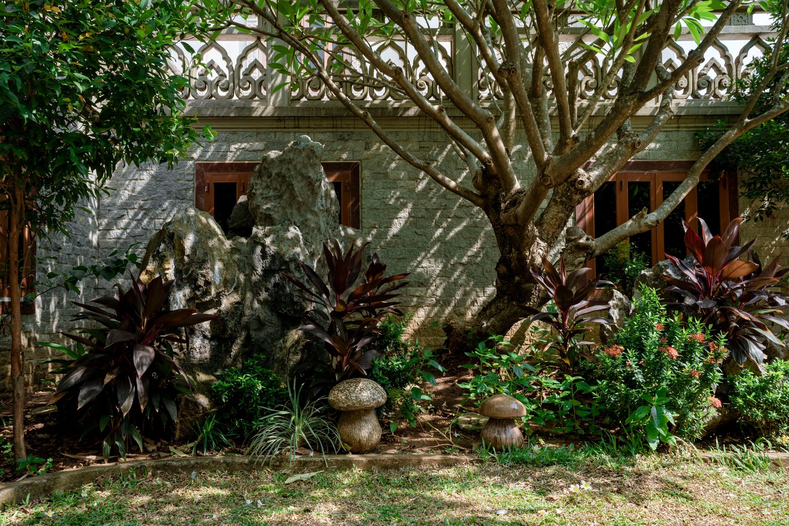 How to Prune Plants and Shrubs Correctly: A Beginner's Guide - supporting image 1