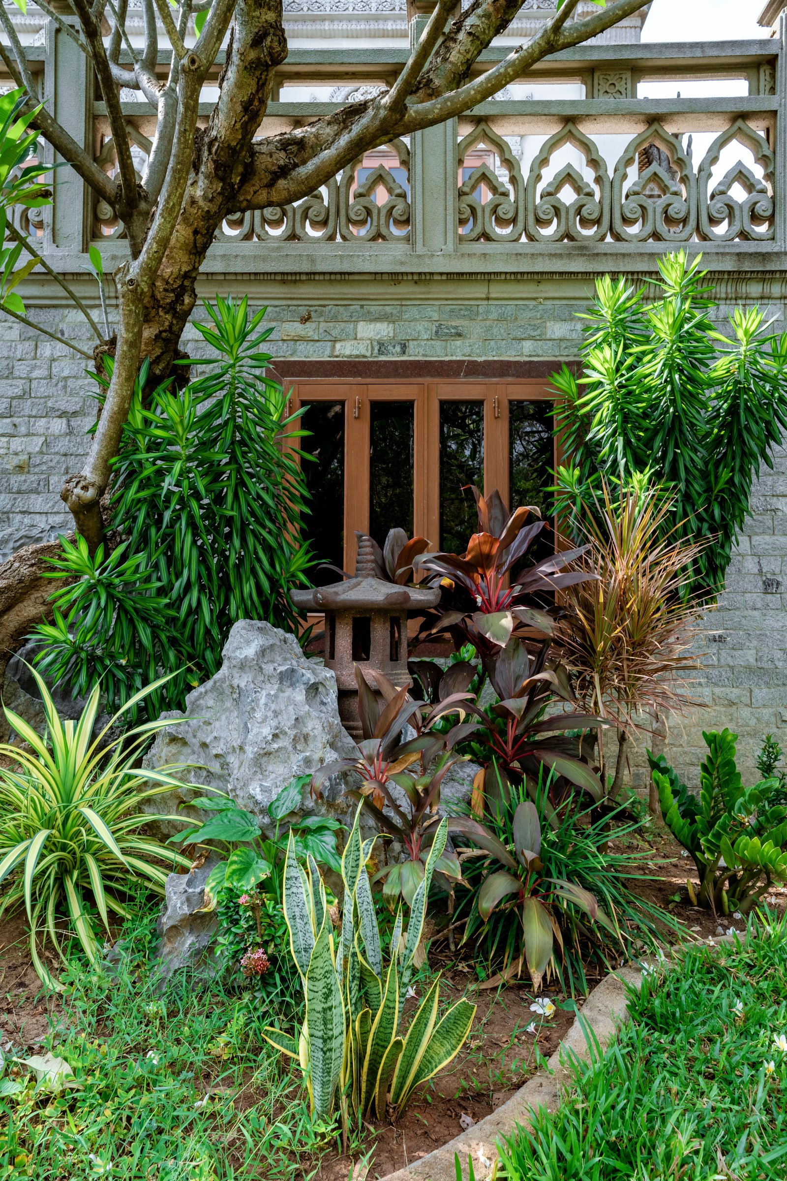 How to Prune Plants and Shrubs Correctly: A Beginner's Guide - supporting image 3