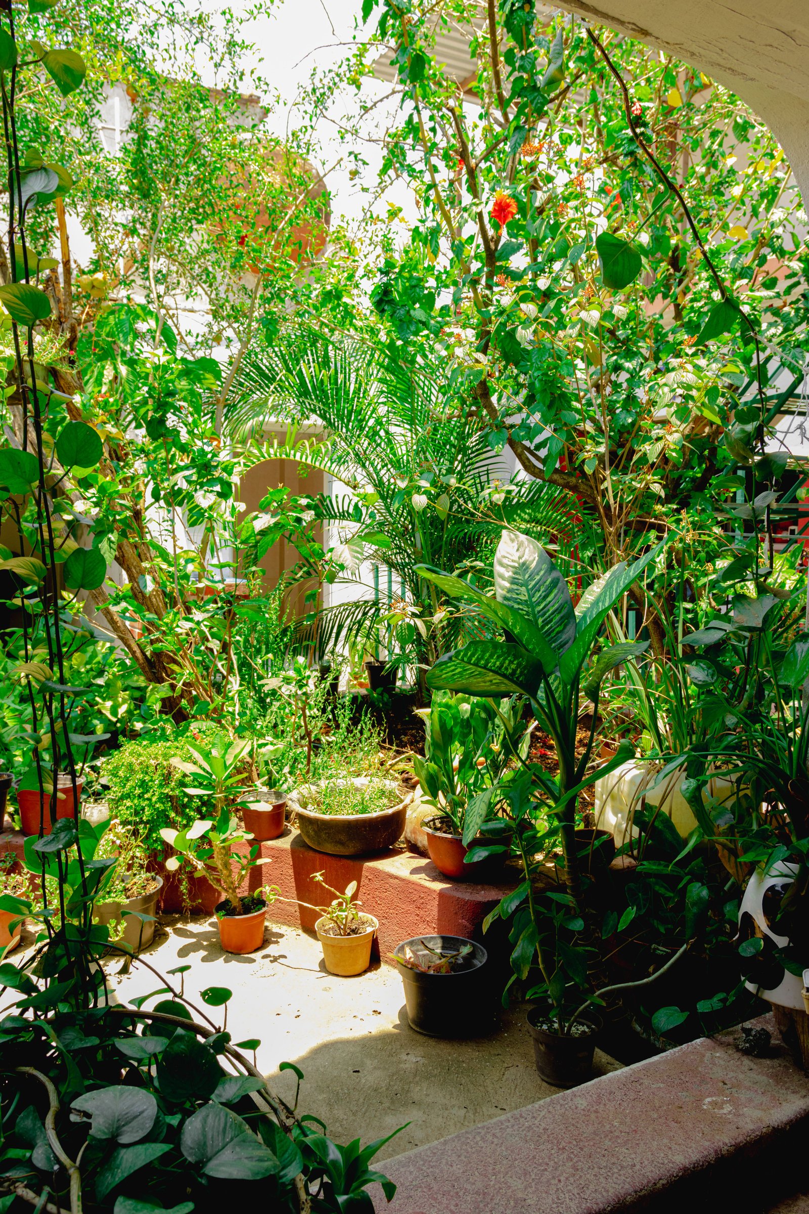 How to Prepare Your Garden for Autumn - supporting image 2
