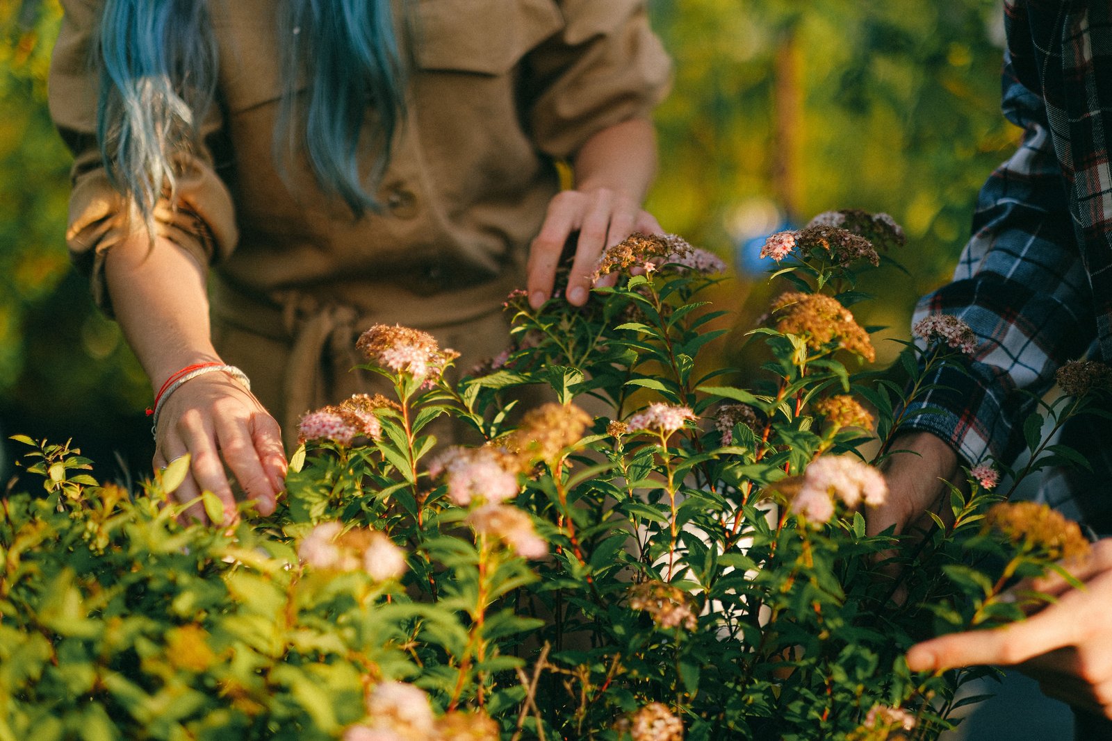 How to Prepare Your Garden for Spring and Start the Season - Home & Garden