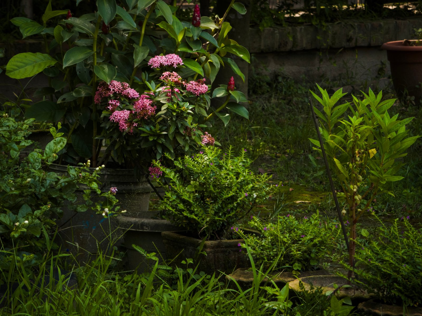 How to Prepare Your Home for Hot Weather and Keep It More Comfortable - supporting image 3