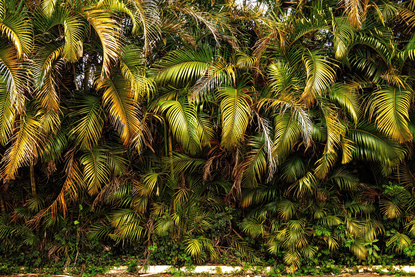 How to Protect Outdoor Furniture and Extend Its Useful Life - Home & Garden