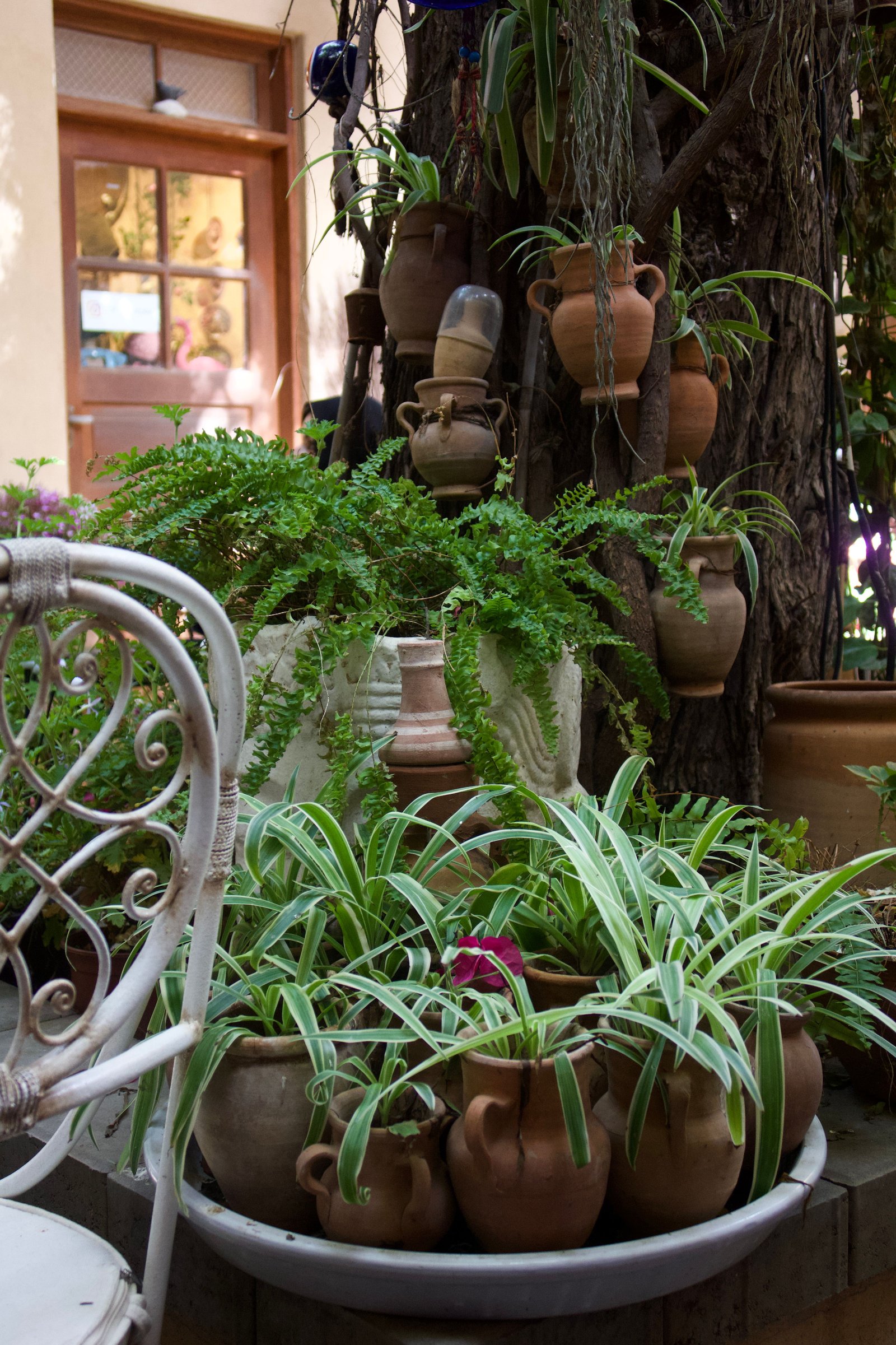 How to Reduce Humidity at Home and Keep Rooms More Comfortable - Home & Garden