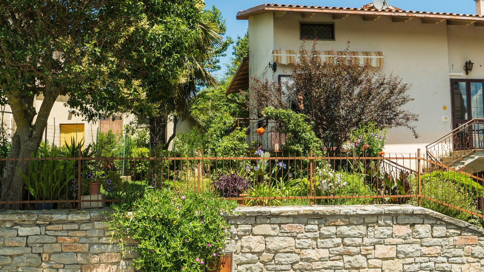 How to Water Plants Correctly: Frequency, Amount, and Mistakes to Avoid - supporting image 1