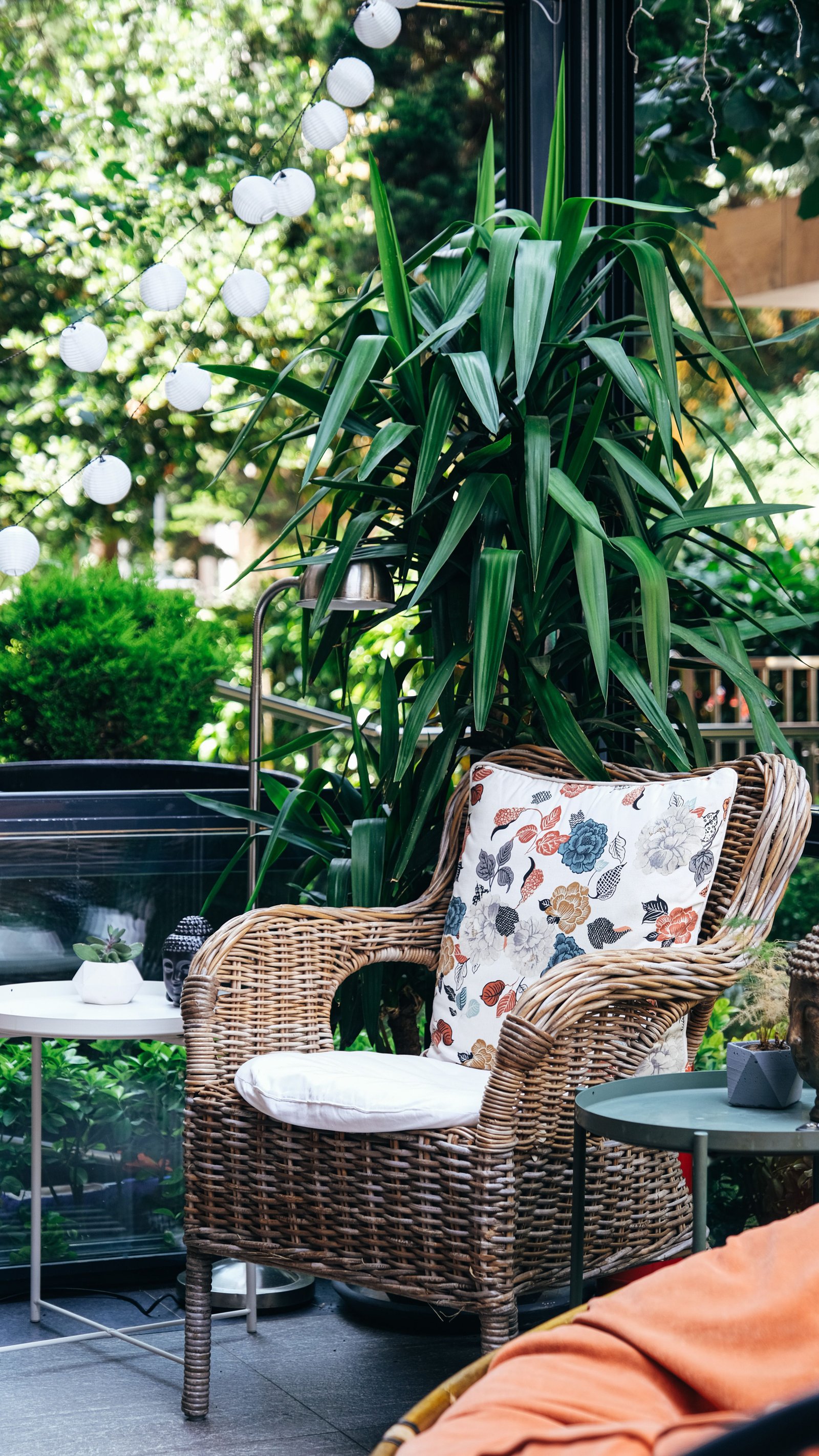 How to Water Plants Correctly: Frequency, Amount, and Mistakes to Avoid - Home & Garden