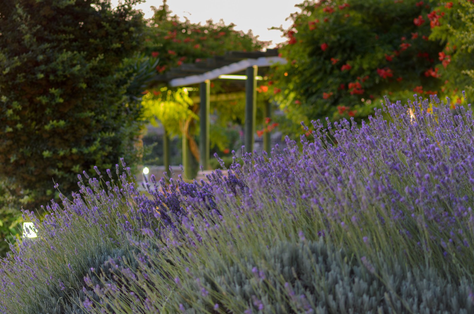 Common Plant Care Mistakes and How to Avoid Them - supporting image 1