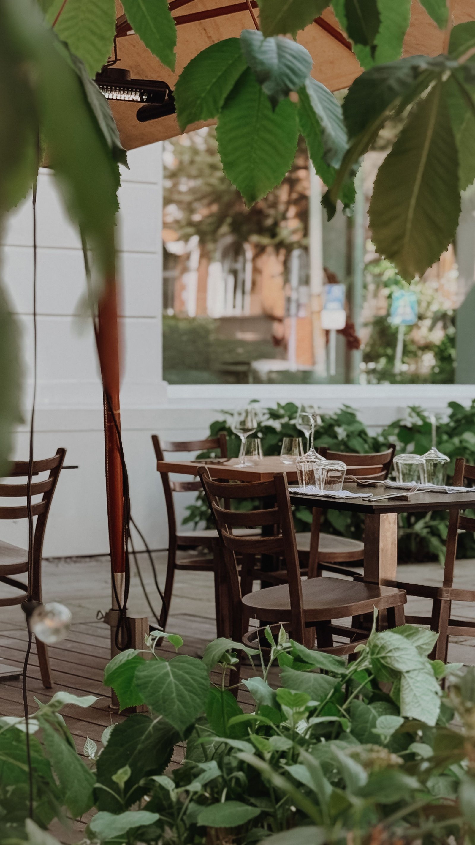 Common Plant Care Mistakes and How to Avoid Them - supporting image 3