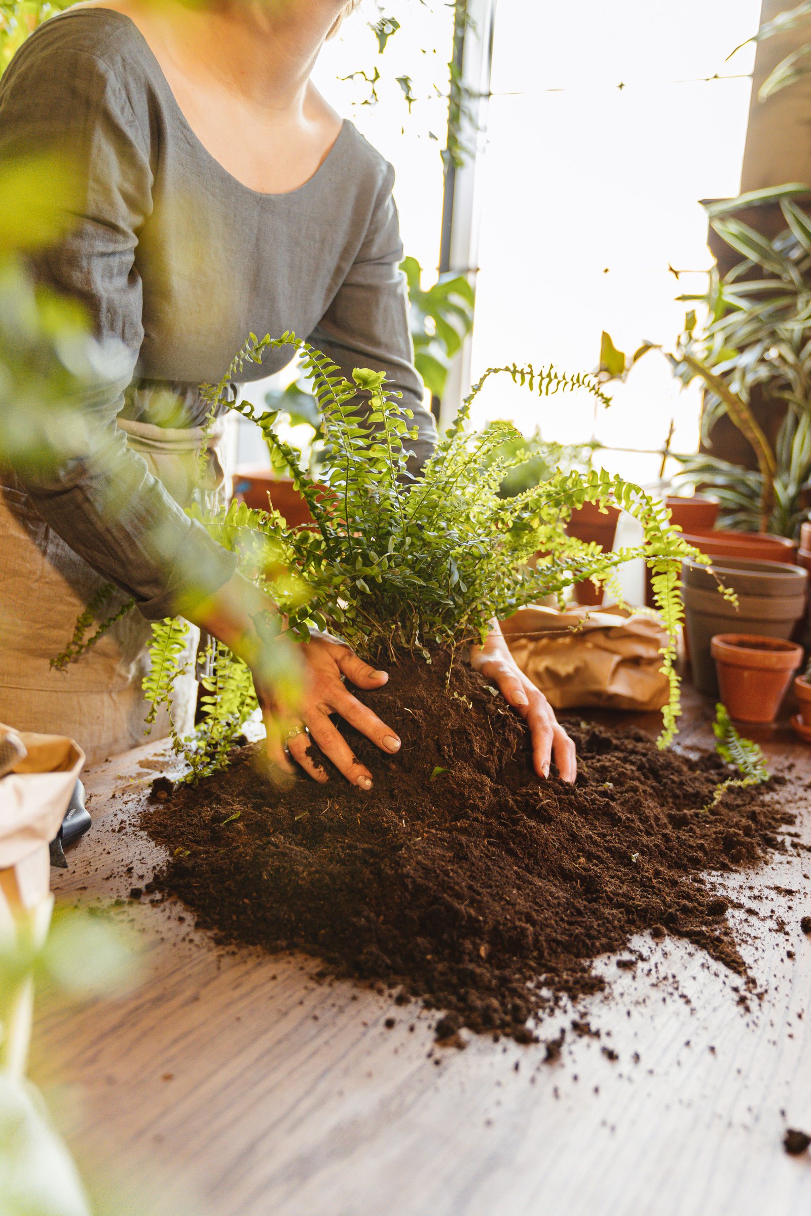 How to Create a Stone Path in the Garden Step by Step