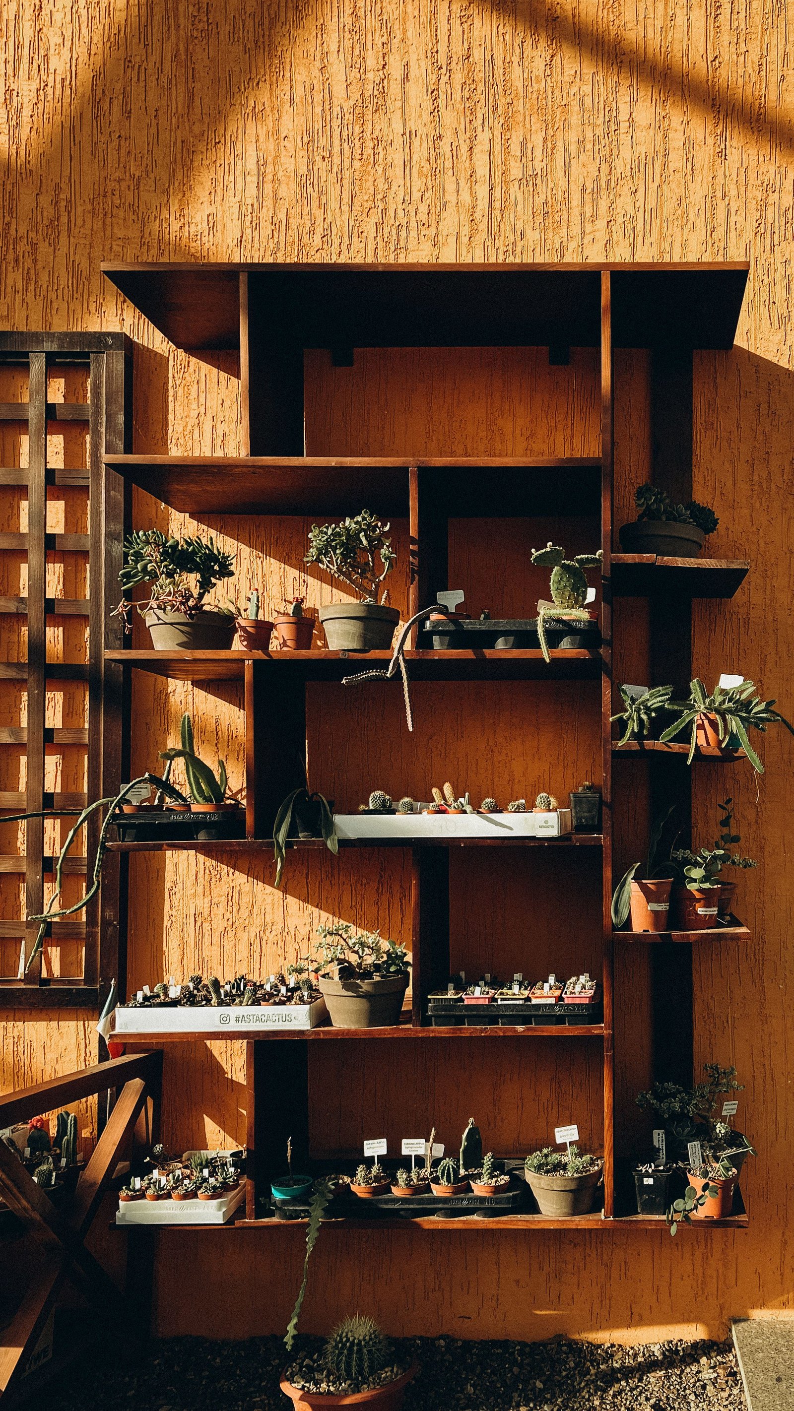 How to Create a Relaxing Retreat in the Garden