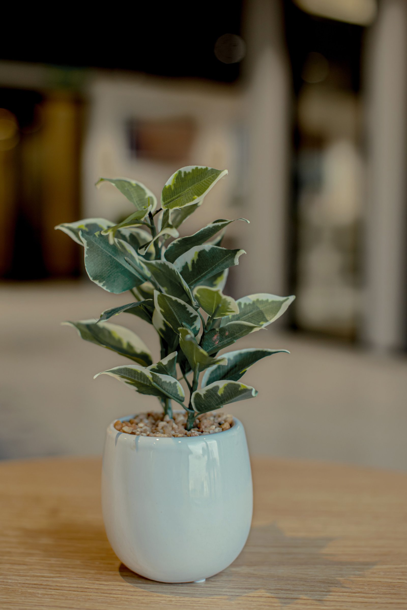 How to Create a Green Corner in the Kitchen Without Losing Functionality