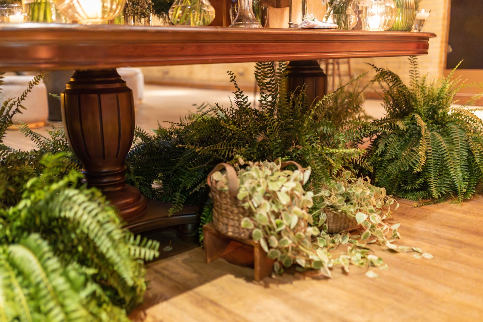 How to Care for Plants During Winter