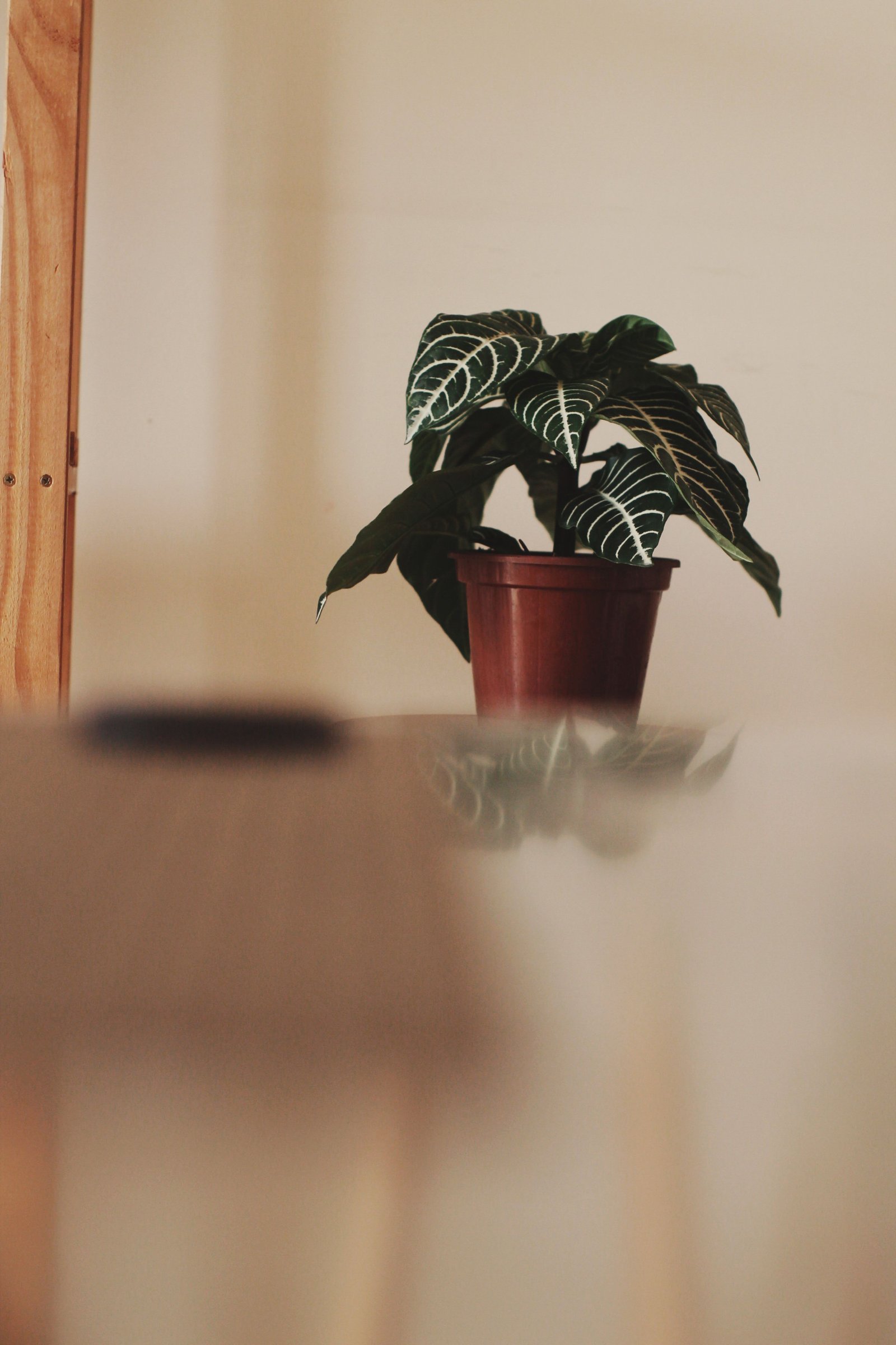 How to Give a Home Personality With Small Details