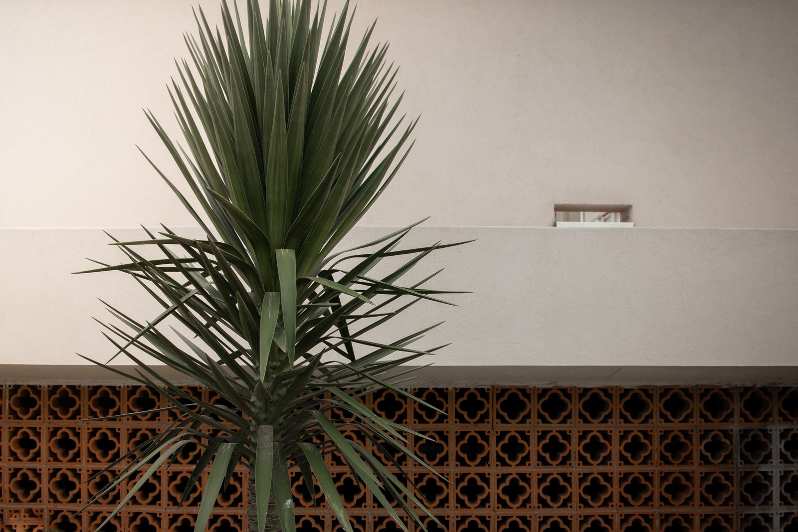 How to Design a Garden With Different Heights