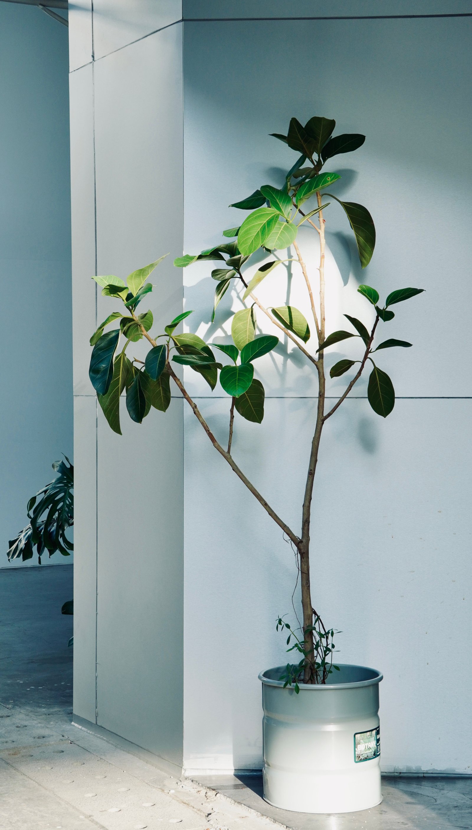 How to Choose Sustainable Materials for the Home