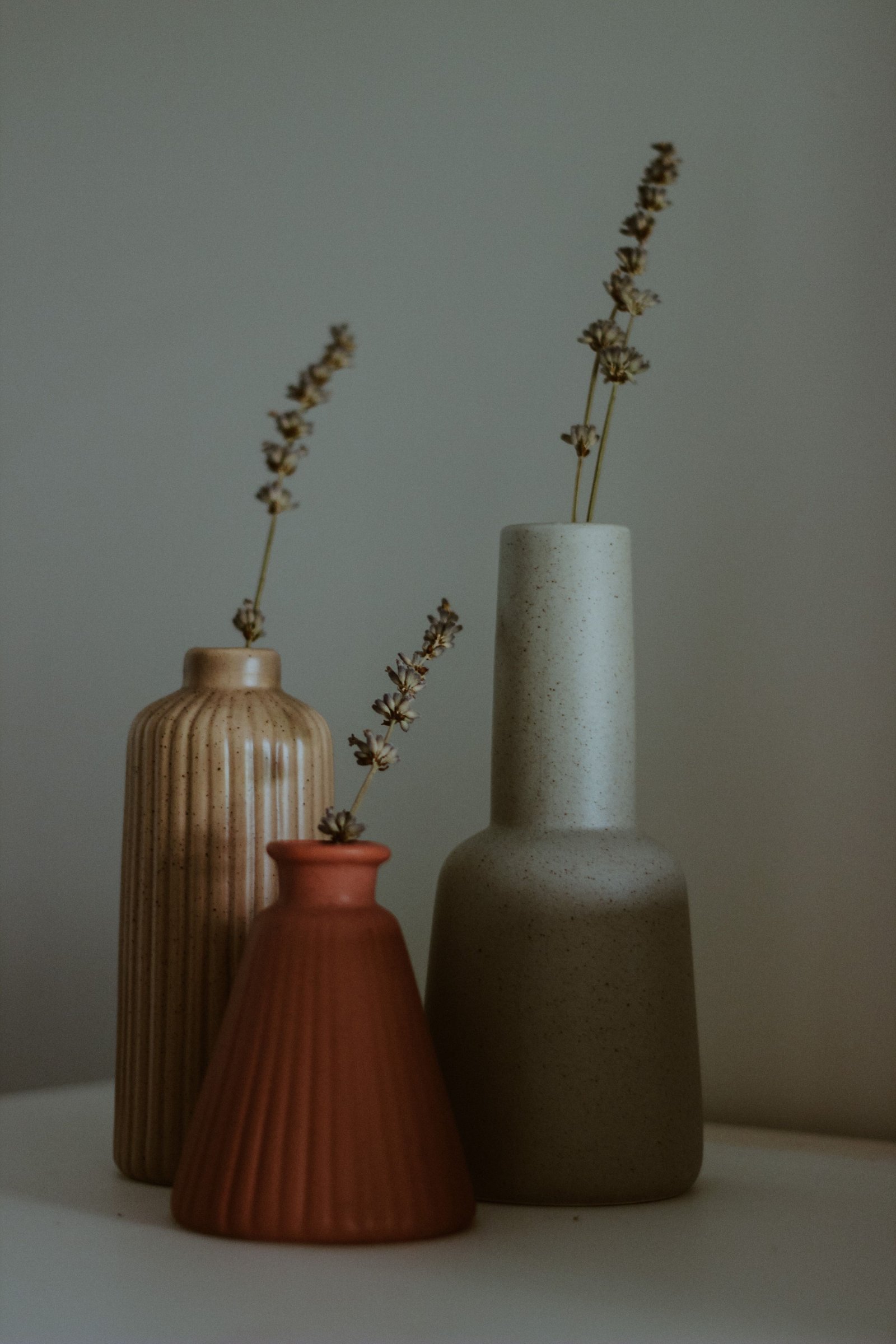 How to Choose Suitable Plants for Terraces