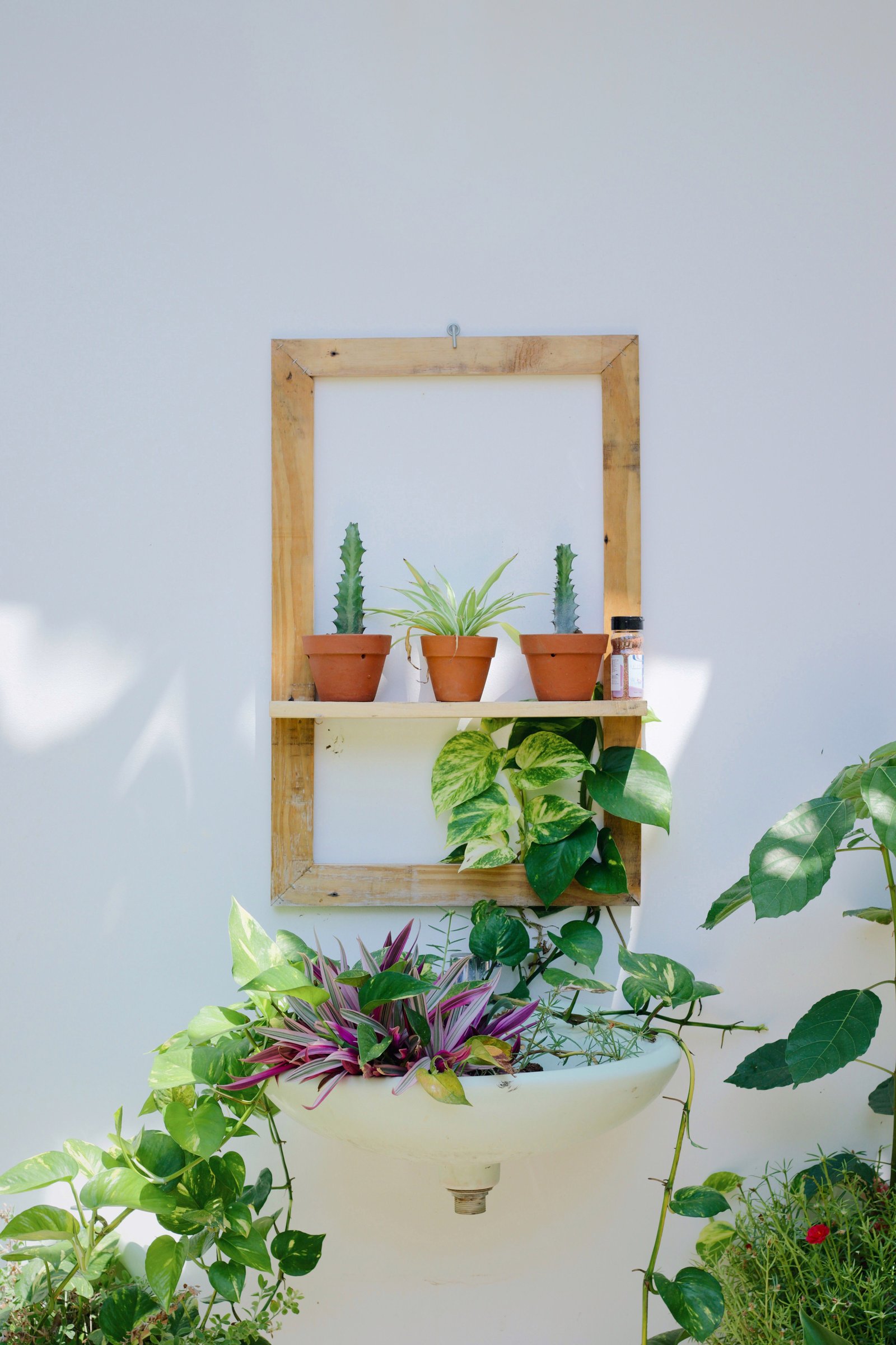 How to Prevent Garden Pests and Keep Your Plants Healthy