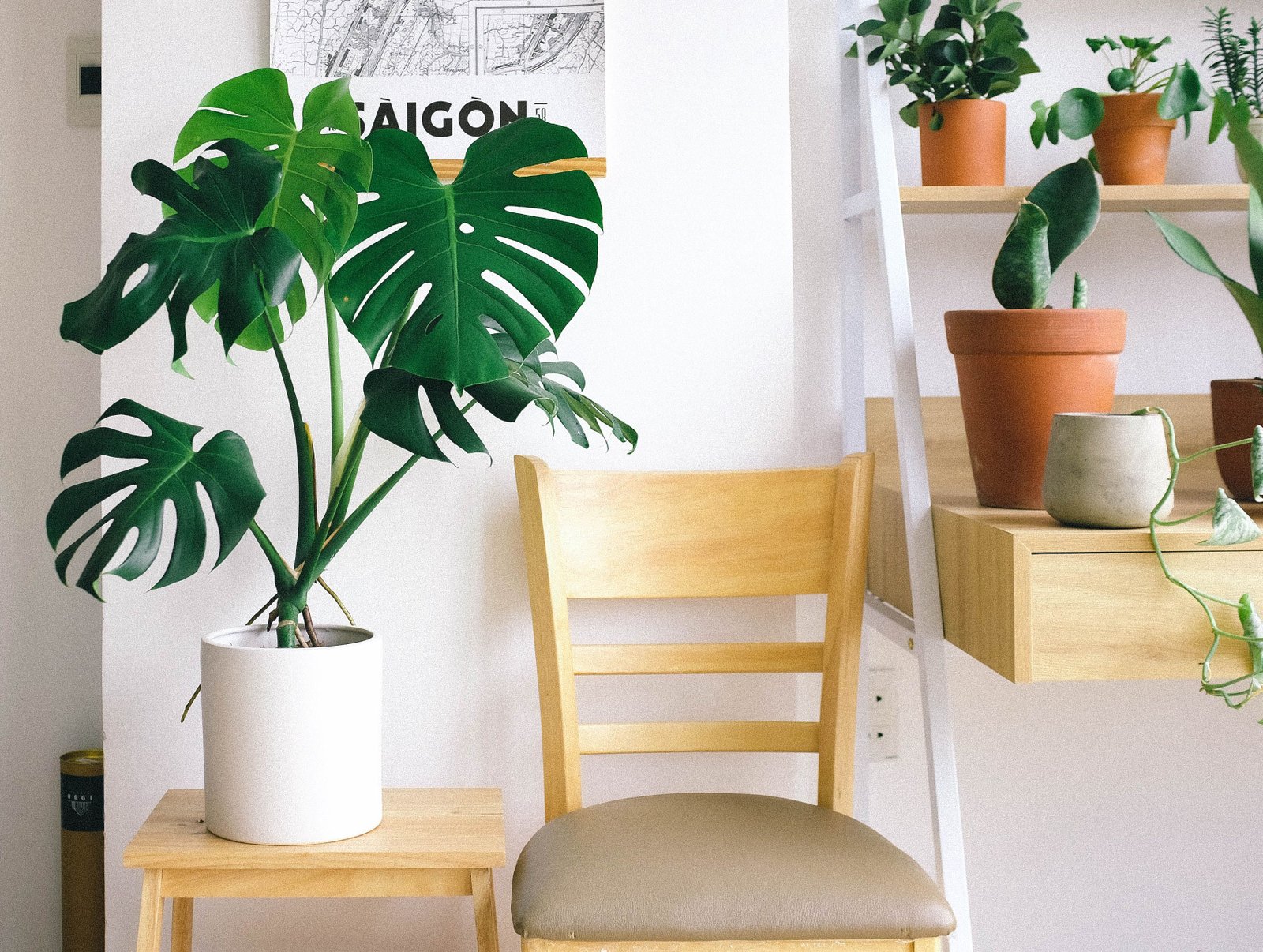 How to Make Compost at Home: A Simple Beginner's Guide