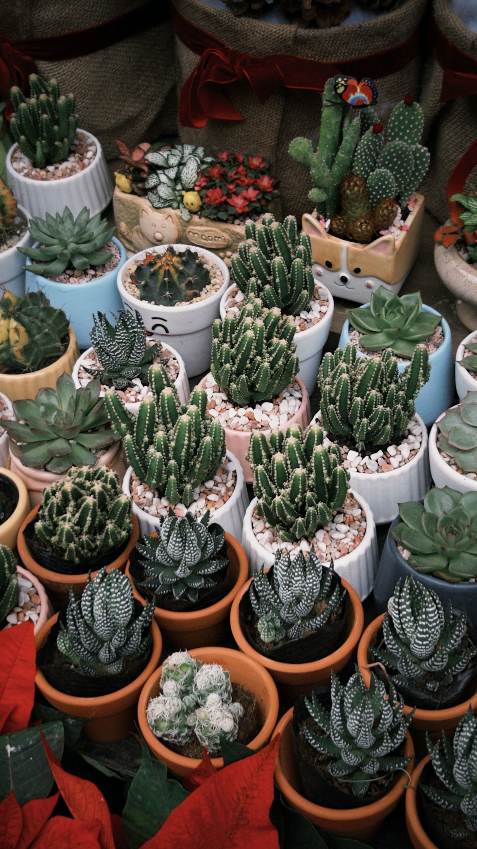 How to Keep Your Garden Beautiful When You Have Little Time